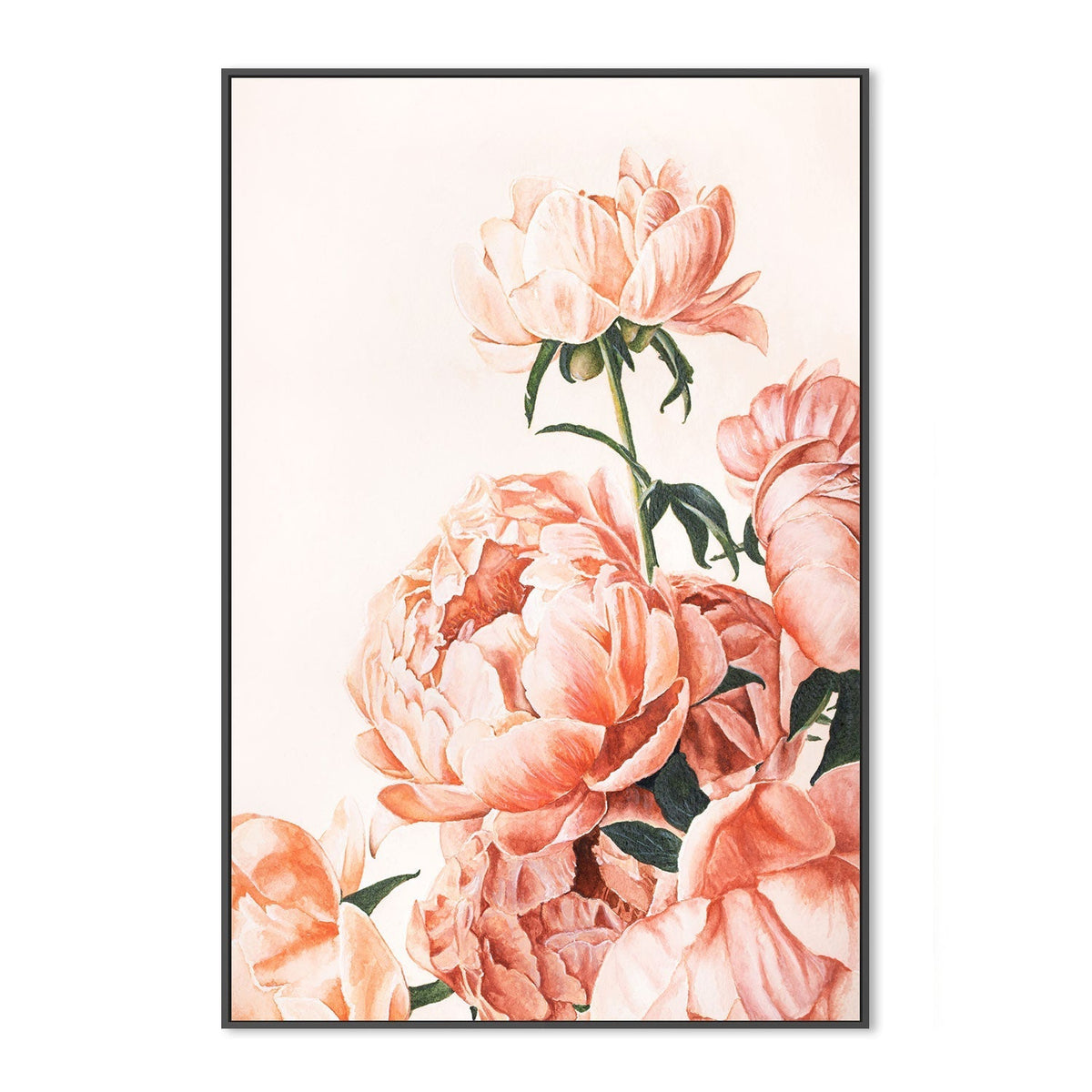 wall-art-print-canvas-poster-framed-Peonies , By Julia Ockert-GIOIA-WALL-ART