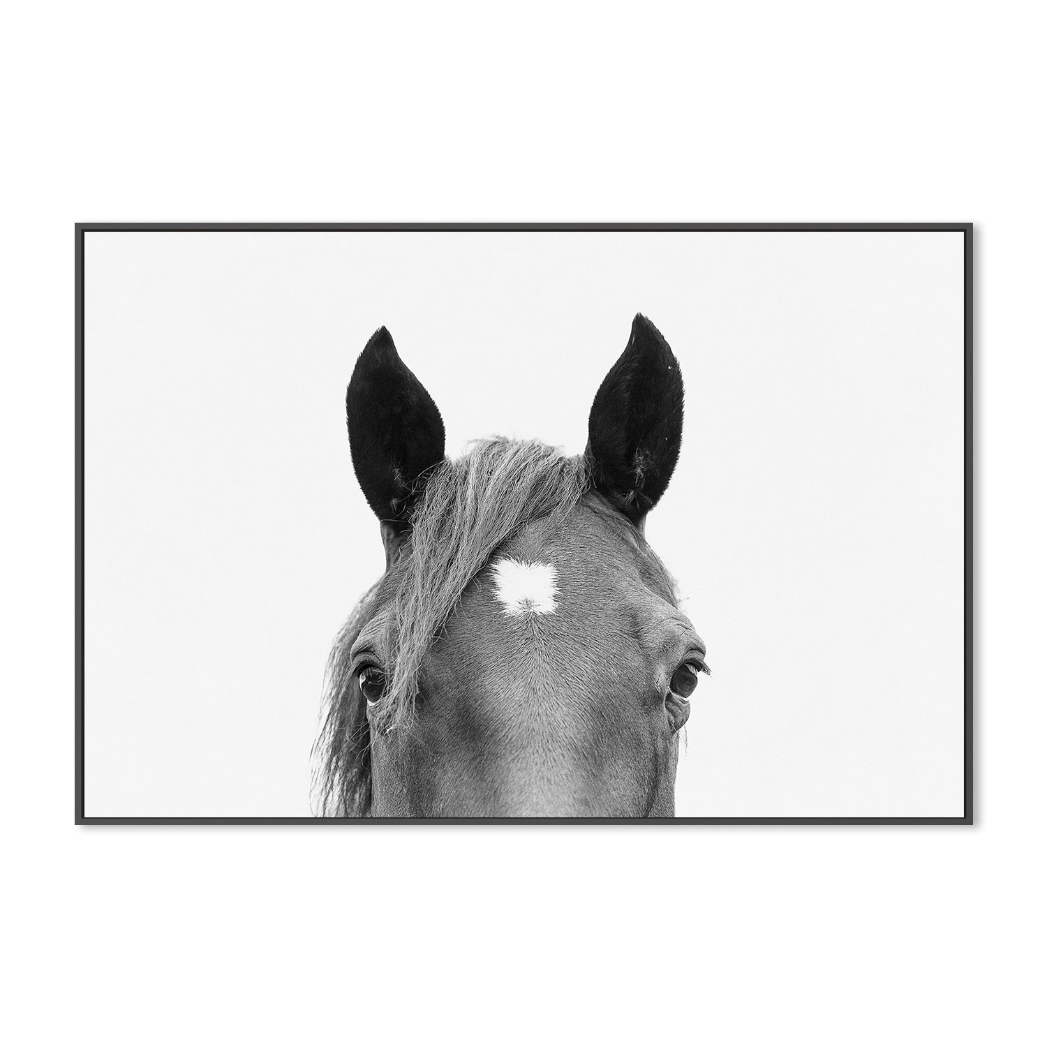 wall-art-print-canvas-poster-framed-Pienaar, Peeking Horse-3
