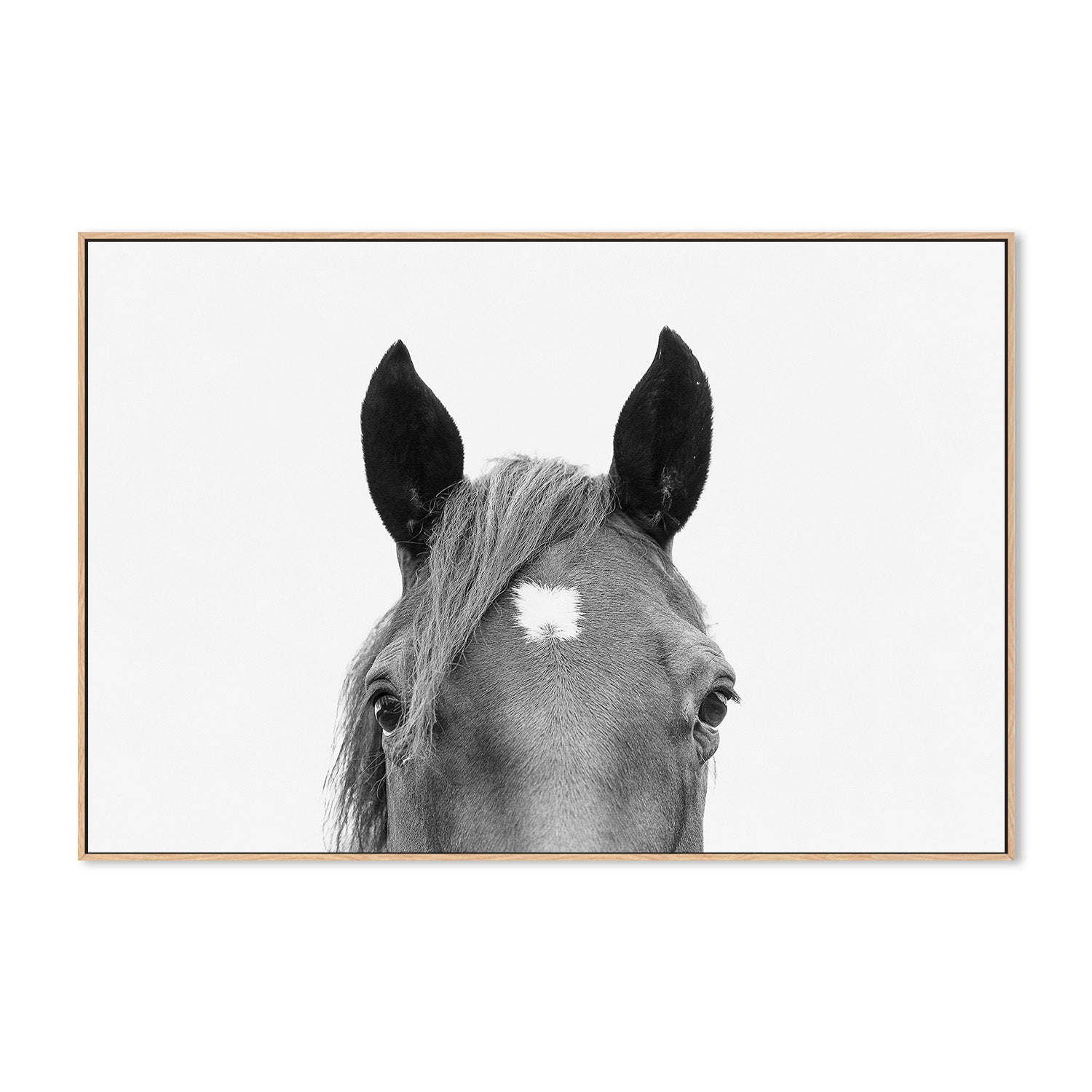 wall-art-print-canvas-poster-framed-Pienaar, Peeking Horse-4
