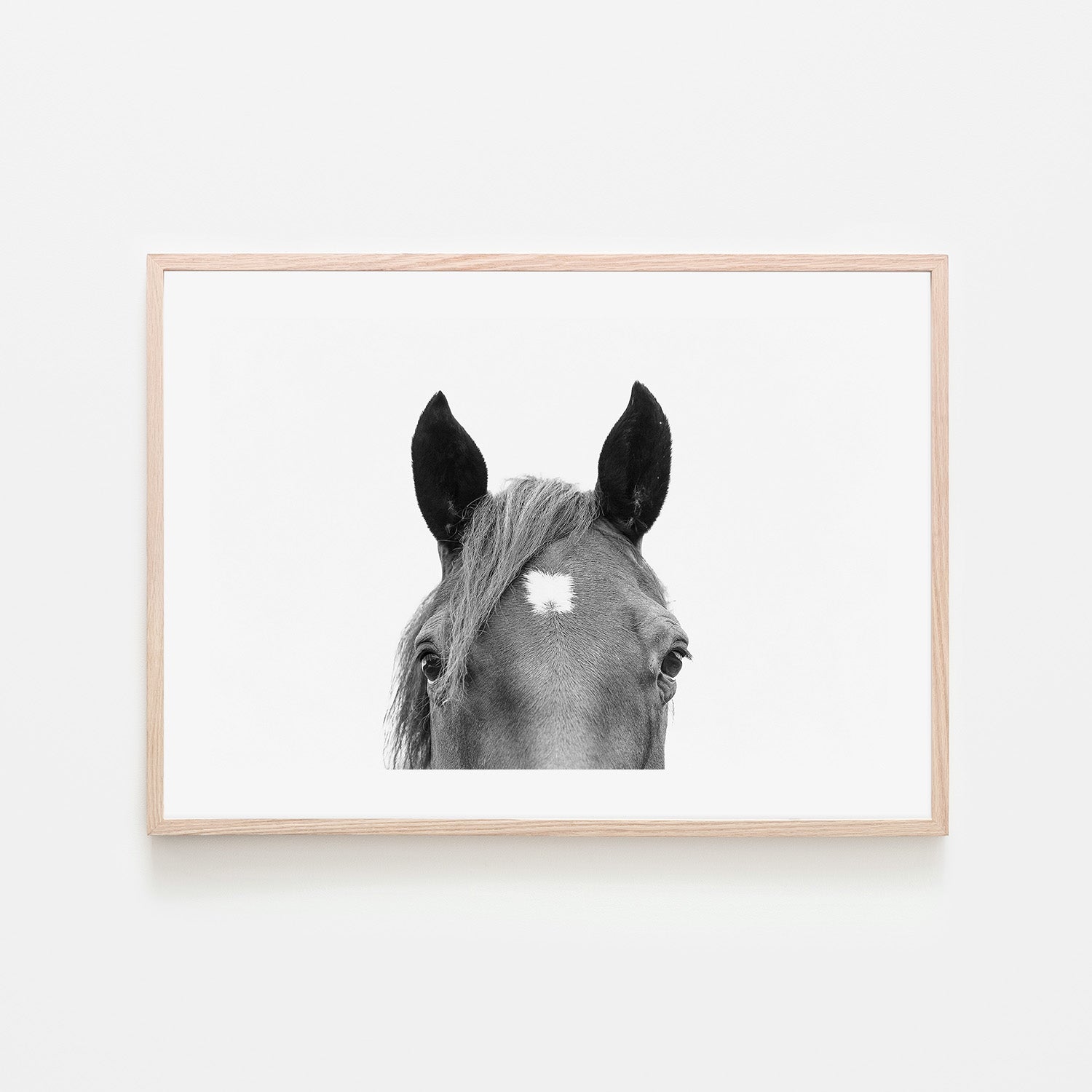 wall-art-print-canvas-poster-framed-Pienaar, Peeking Horse-6