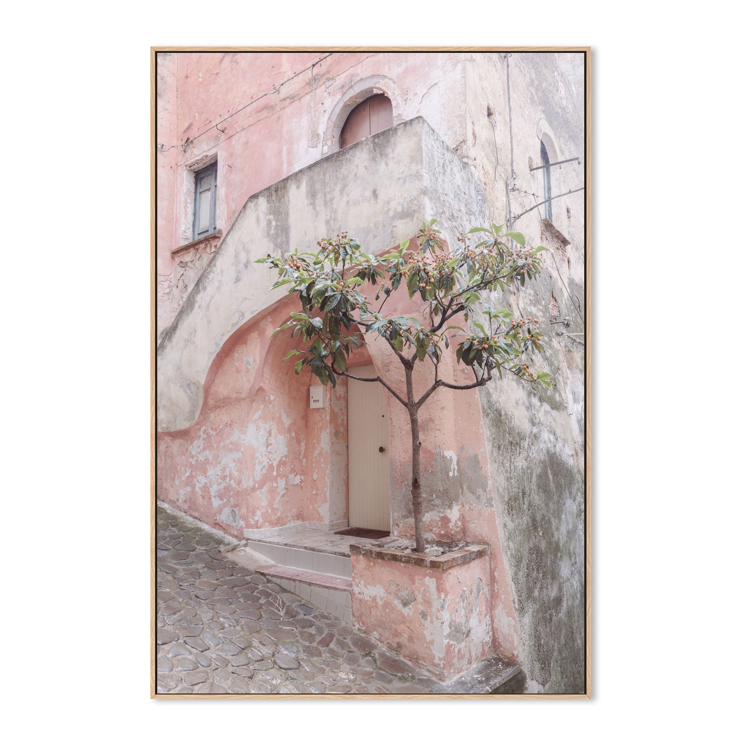 wall-art-print-canvas-poster-framed-Pink House In Corigliano Calabro-4