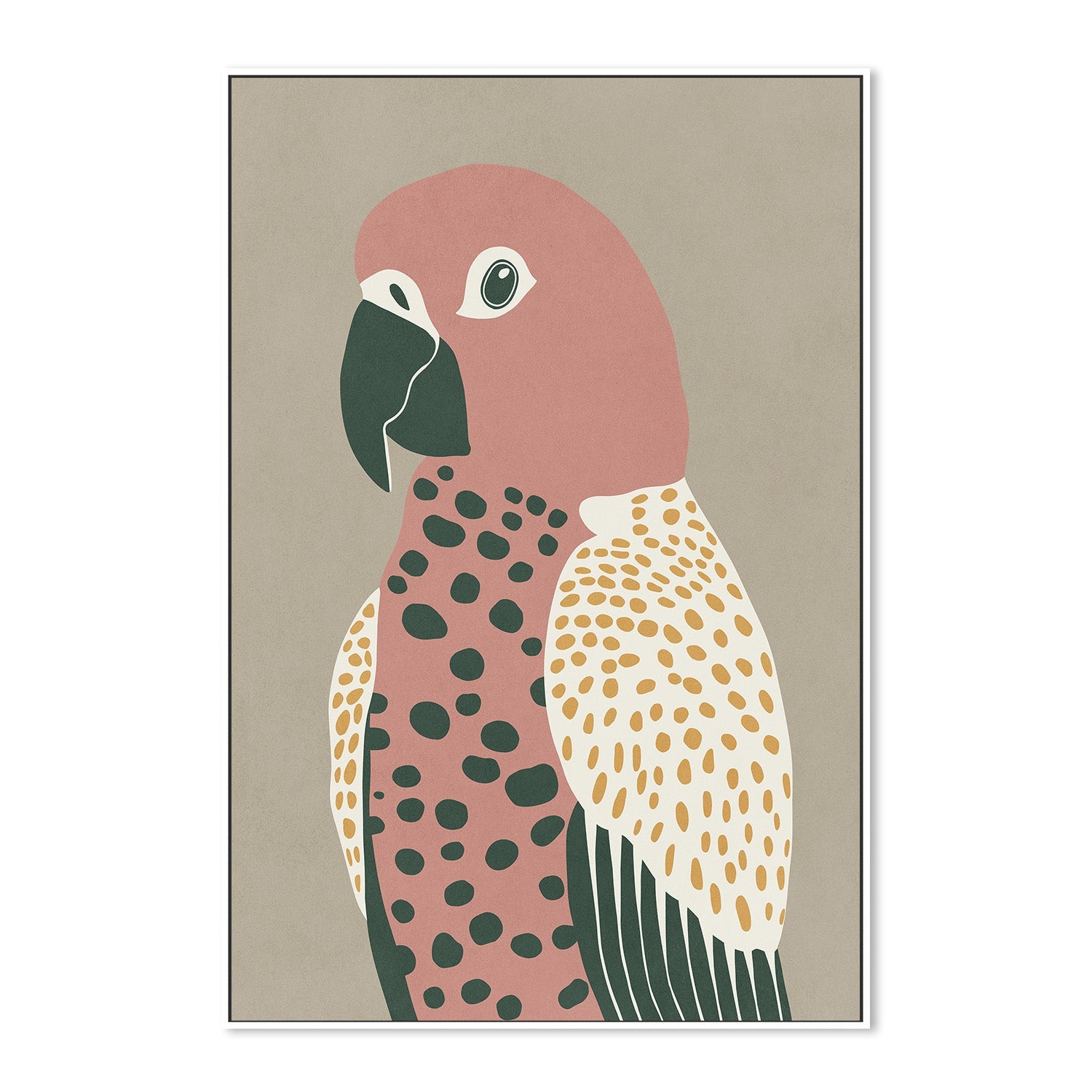 wall-art-print-canvas-poster-framed-Pink Parrot-5