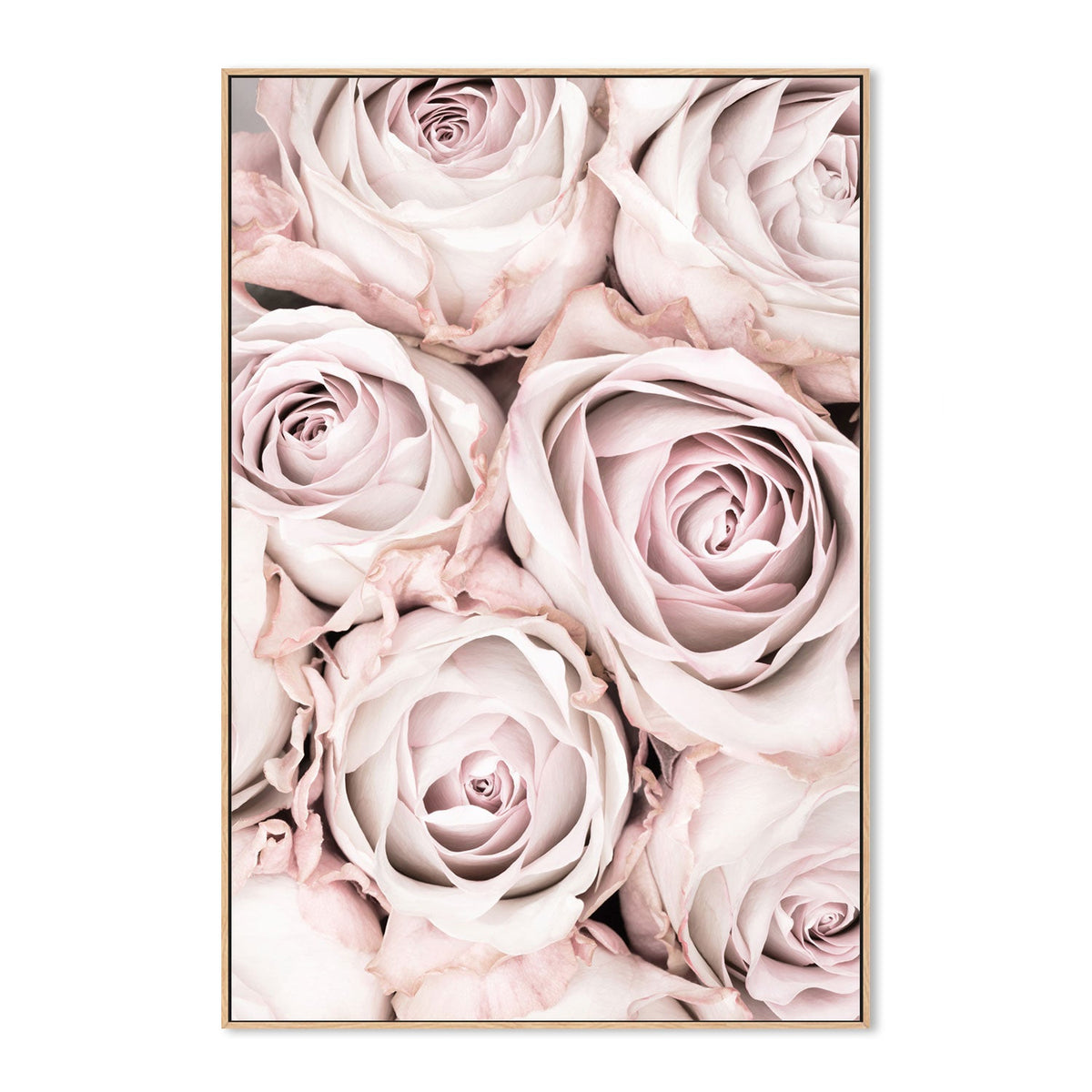Pink Roses-Gioia-Prints-Framed-Canvas-Poster-GIOIA-WALL-ART