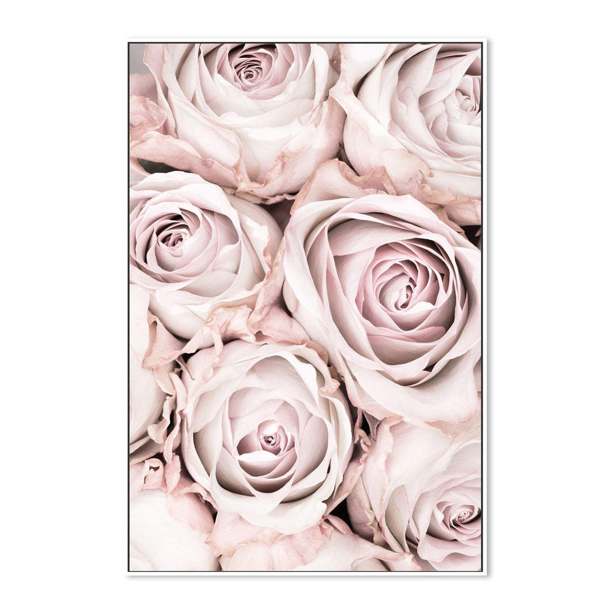 Pink Roses-Gioia-Prints-Framed-Canvas-Poster-GIOIA-WALL-ART