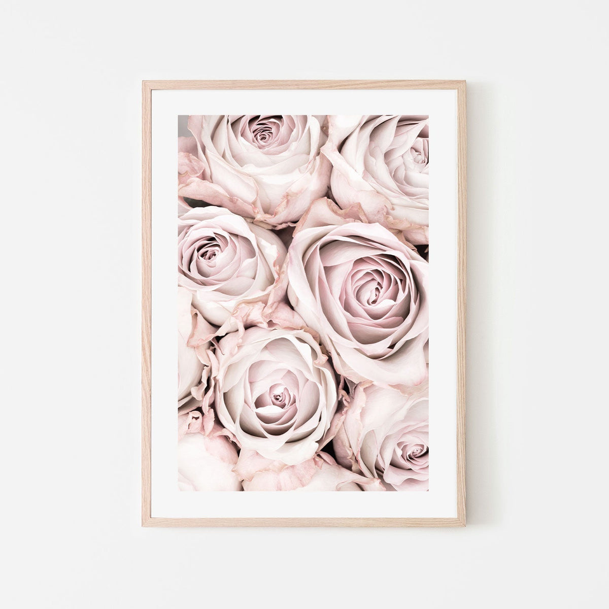 Pink Roses-Gioia-Prints-Framed-Canvas-Poster-GIOIA-WALL-ART