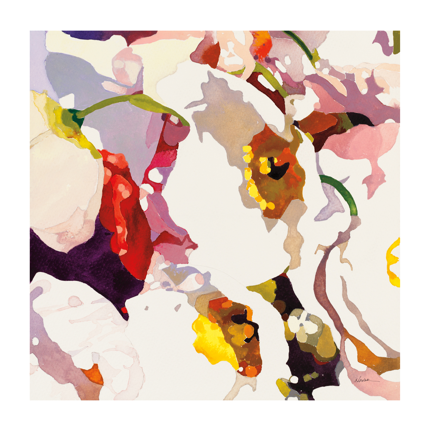 wall-art-print-canvas-poster-framed-Poppy Patterns, Style A , By Wild Apple-1