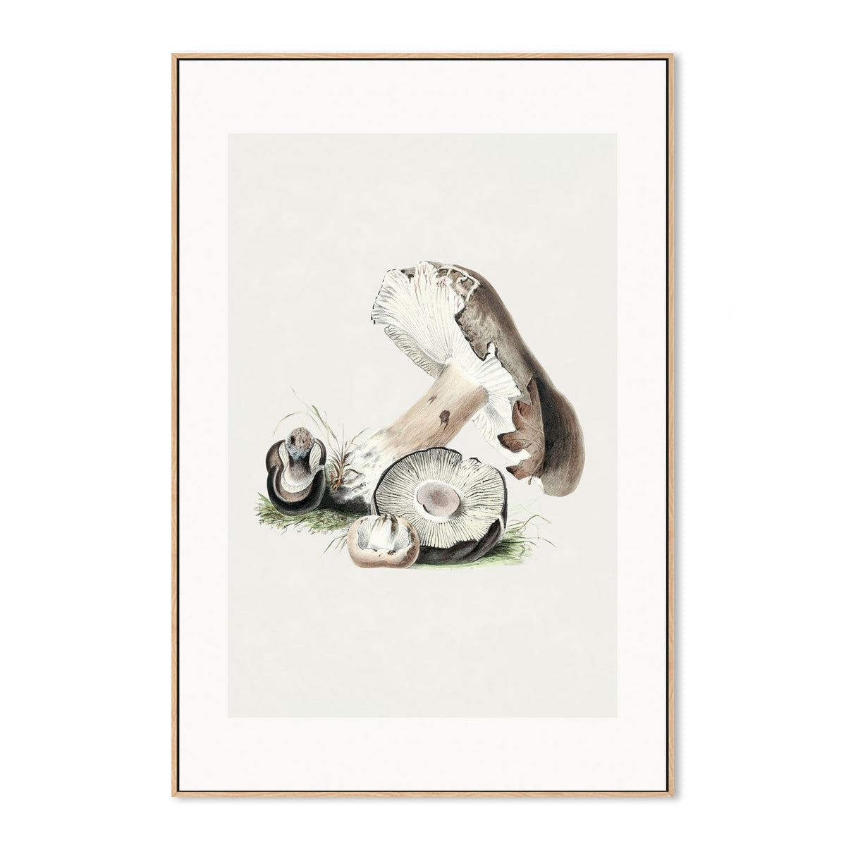 wall-art-print-canvas-poster-framed-Portabella Mushrooms-GIOIA-WALL-ART