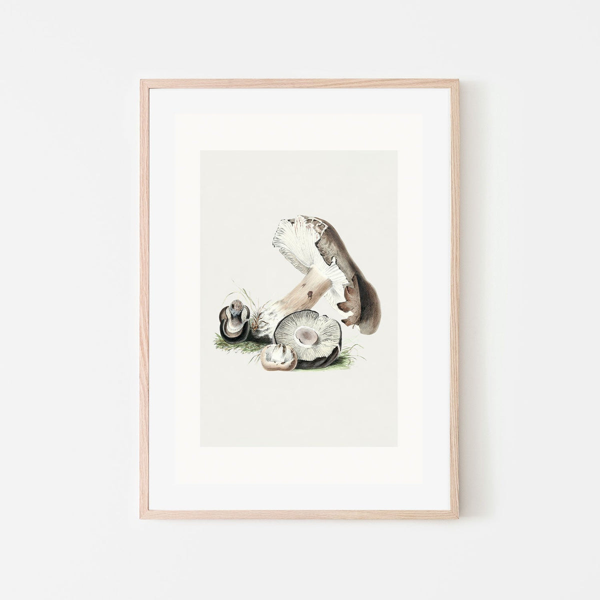 wall-art-print-canvas-poster-framed-Portabella Mushrooms-GIOIA-WALL-ART