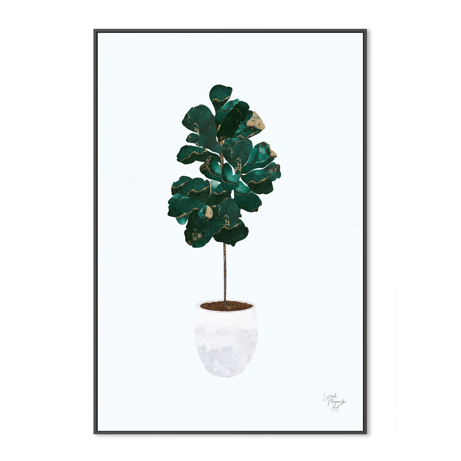 wall-art-print-canvas-poster-framed-Pot Plant, Style C , By Sarah Manovski-GIOIA-WALL-ART