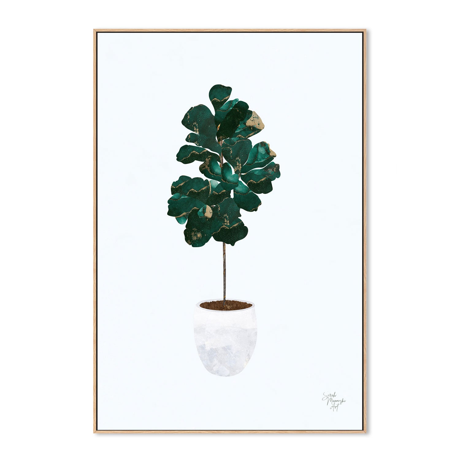wall-art-print-canvas-poster-framed-Pot Plant, Style C , By Sarah Manovski-GIOIA-WALL-ART