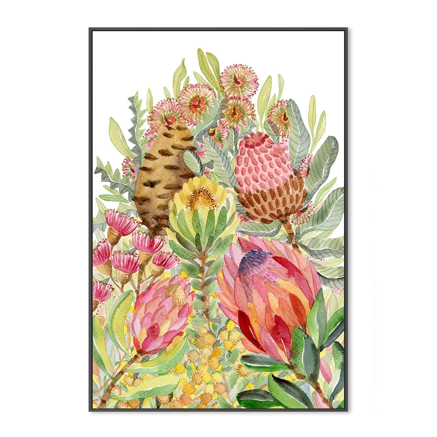 wall-art-print-canvas-poster-framed-Protea Banksia Bunch , By Jessie Mitchelson-3