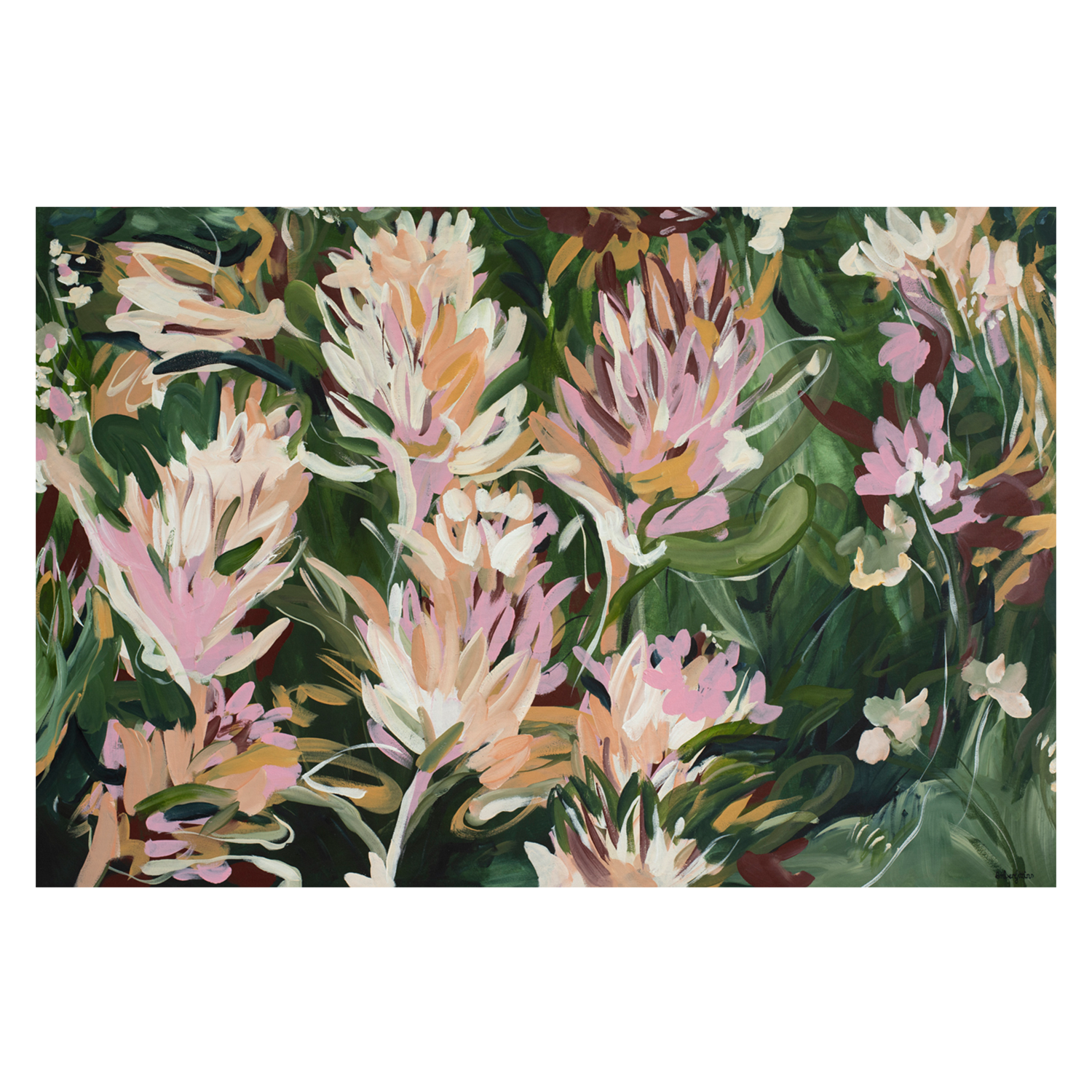 wall-art-print-canvas-poster-framed-Protea Garden , By Amber Gittins-1