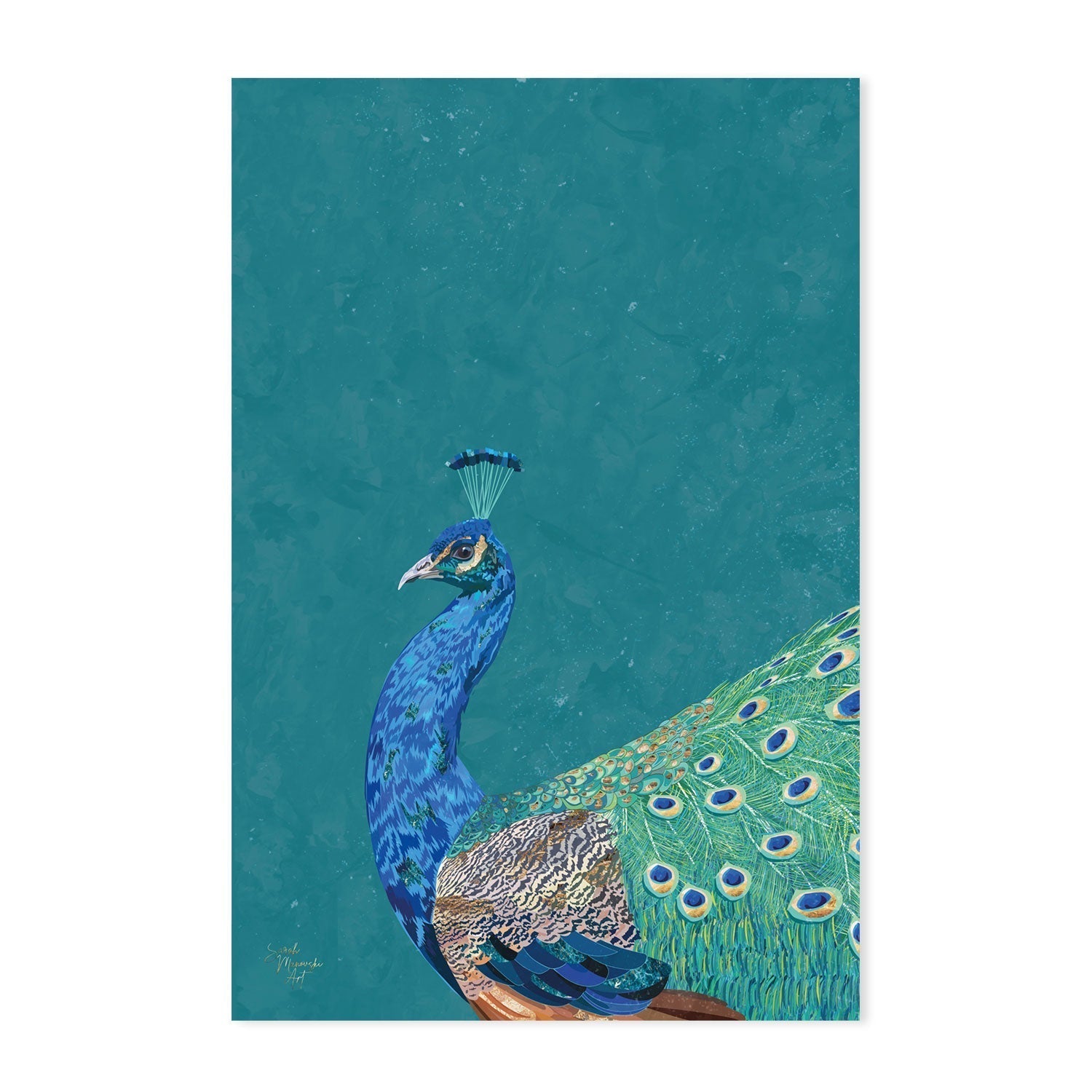 wall-art-print-canvas-poster-framed-Proud Peacock , By Sarah Manovski-GIOIA-WALL-ART