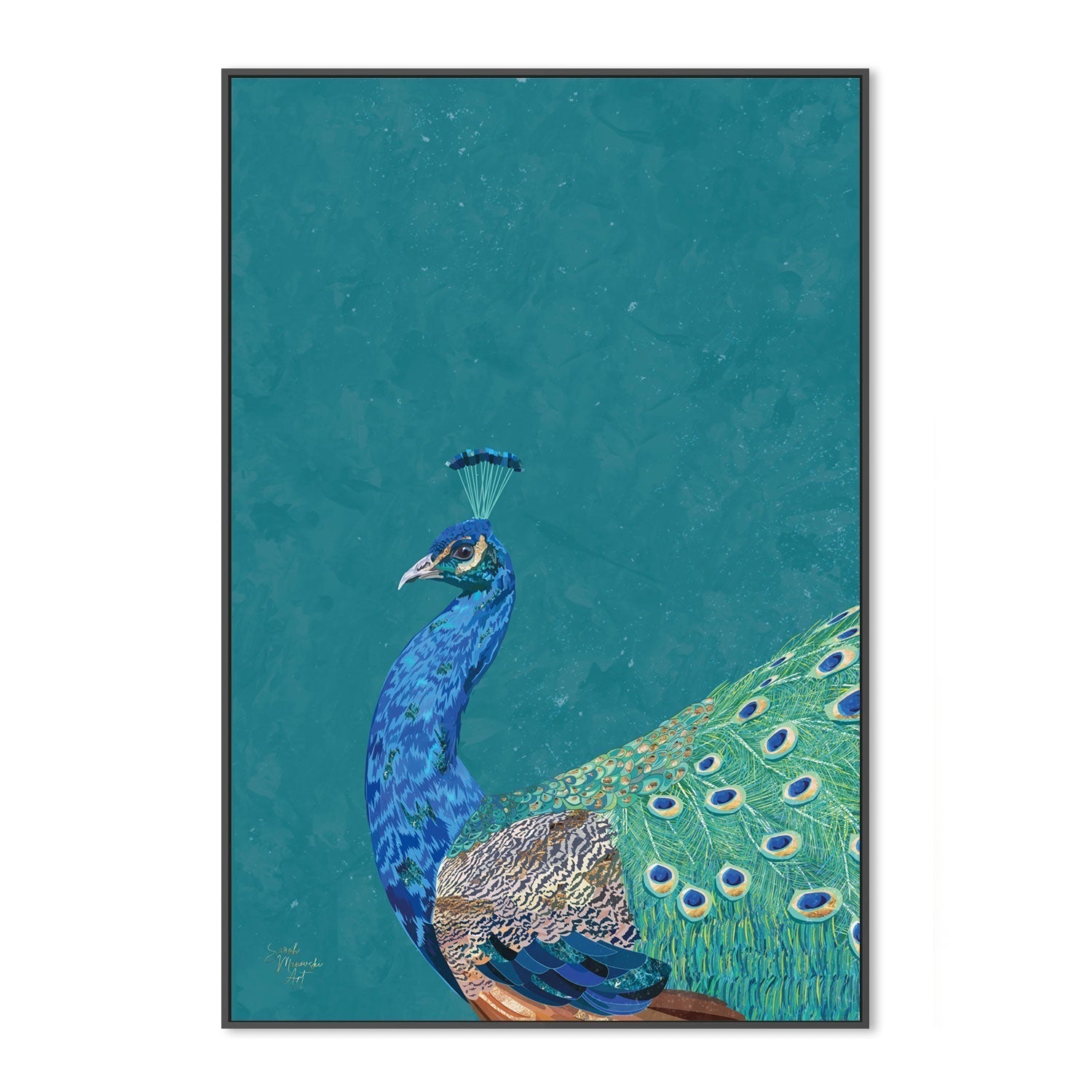 wall-art-print-canvas-poster-framed-Proud Peacock , By Sarah Manovski-GIOIA-WALL-ART