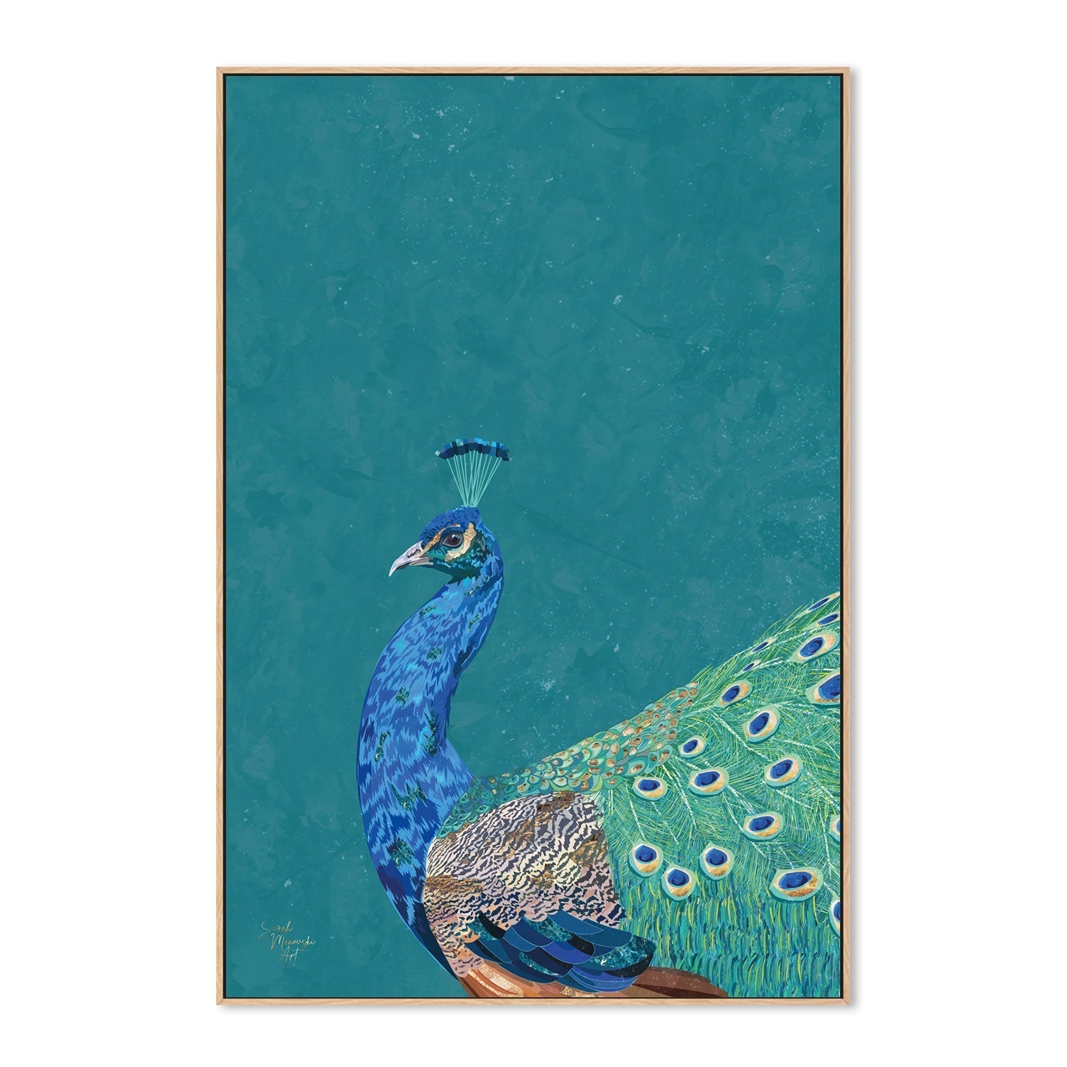 wall-art-print-canvas-poster-framed-Proud Peacock , By Sarah Manovski-GIOIA-WALL-ART