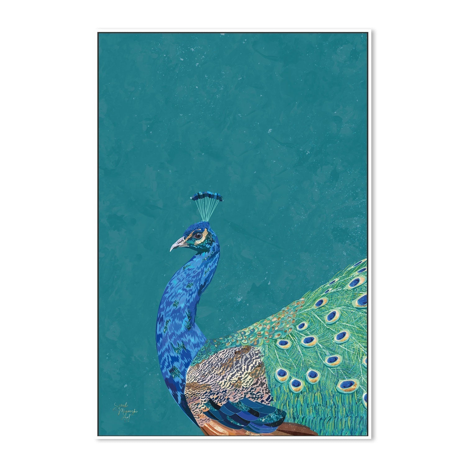 wall-art-print-canvas-poster-framed-Proud Peacock , By Sarah Manovski-GIOIA-WALL-ART