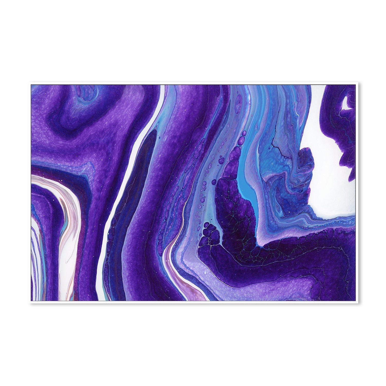 wall-art-print-canvas-poster-framed-Purple Envy , By Cathy Anderson , By Cathy Anderson-5