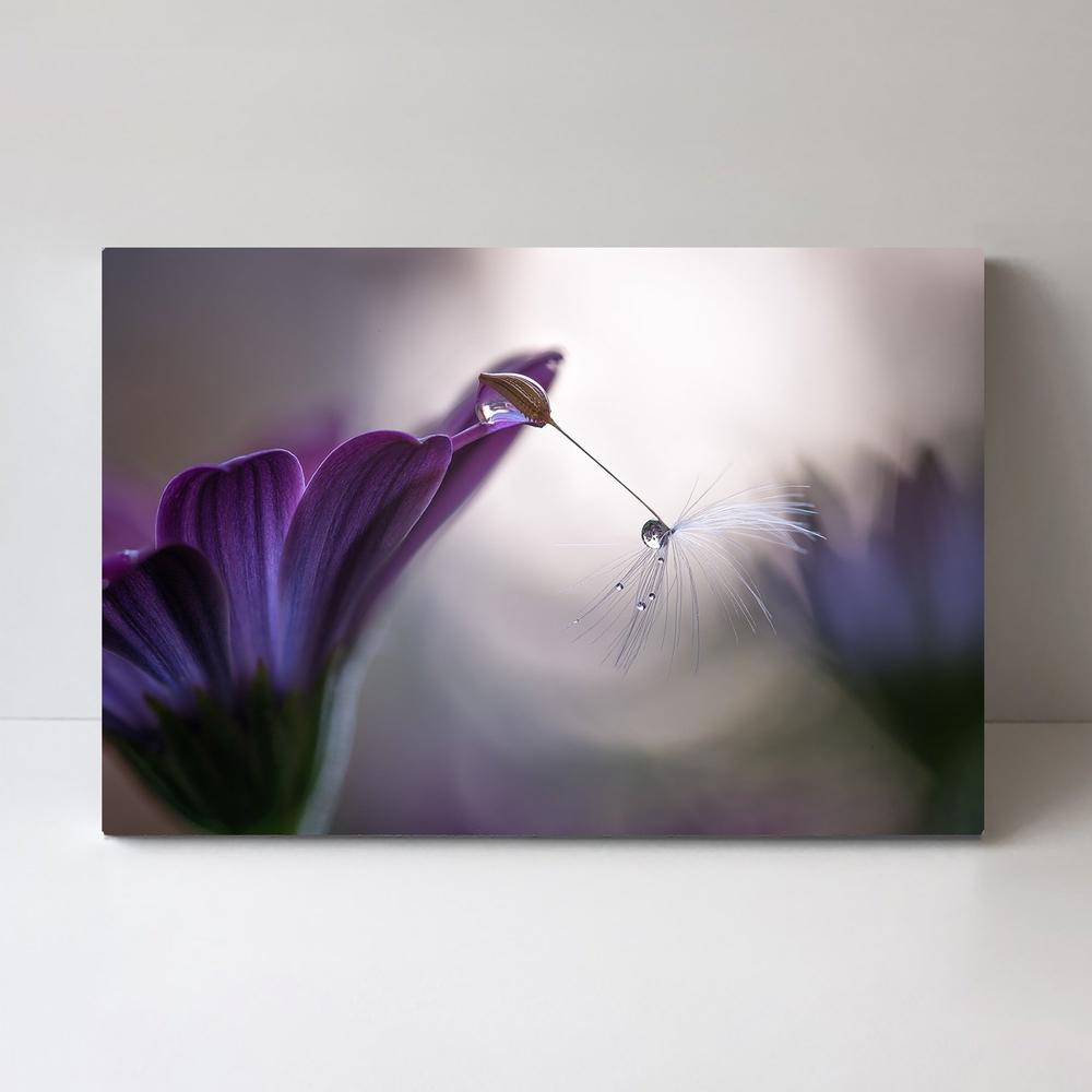 wall-art-print-canvas-poster-framed-Purple Rain, By Silvia Spedicato-by-Plus X Studio-Gioia Wall Art