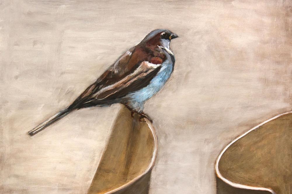 wall-art-print-canvas-poster-framed-Quiet Sparrow Perch-1