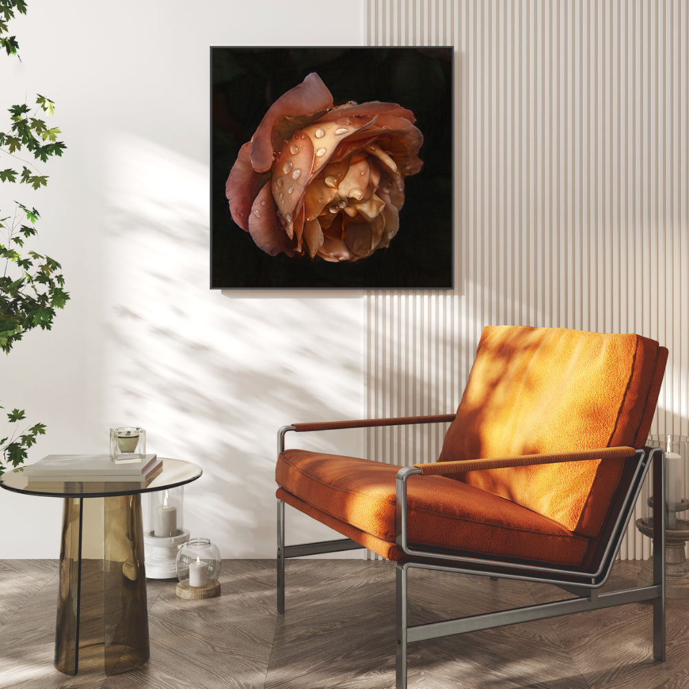 wall-art-print-canvas-poster-framed-Raindrops On An Amber Rose , By Gilbert Claes-GIOIA-WALL-ART