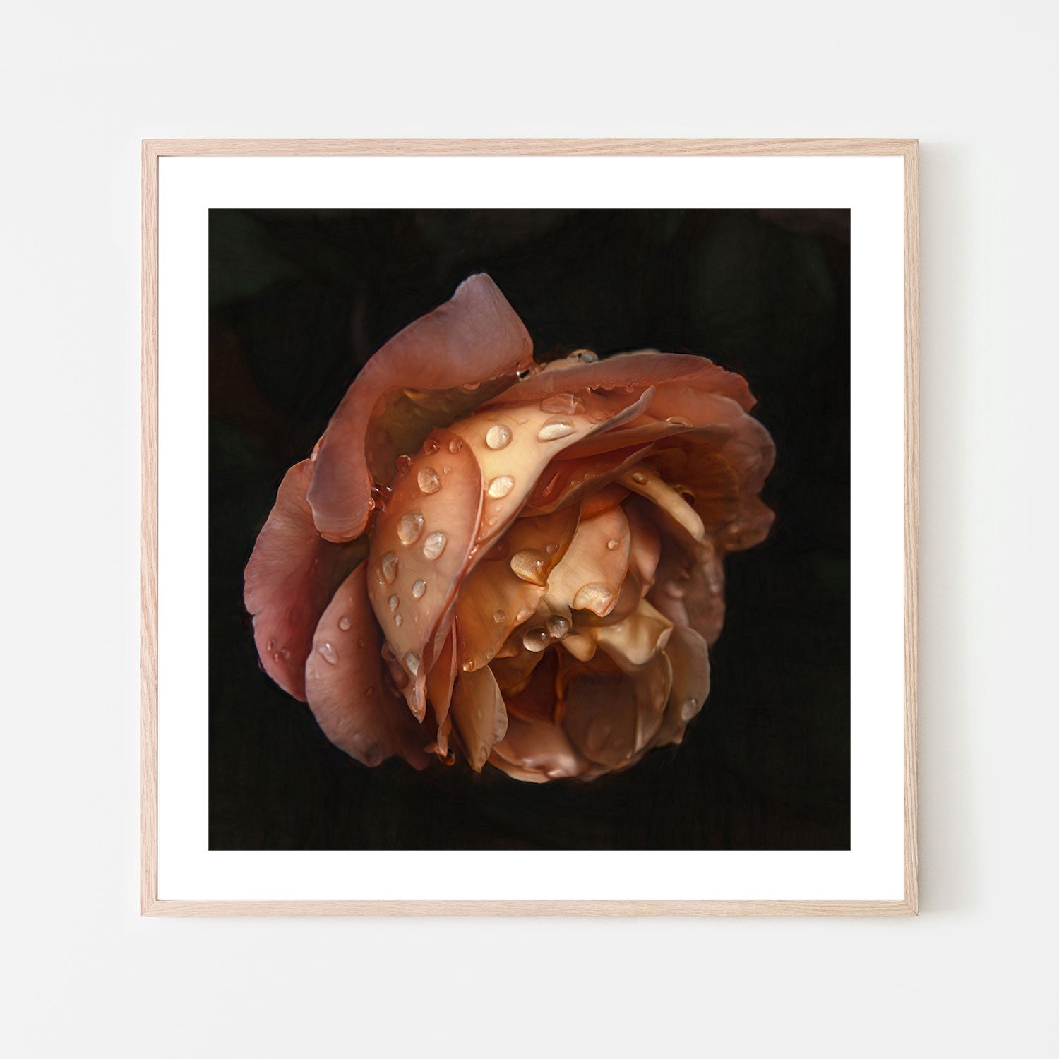 wall-art-print-canvas-poster-framed-Raindrops On An Amber Rose , By Gilbert Claes-GIOIA-WALL-ART