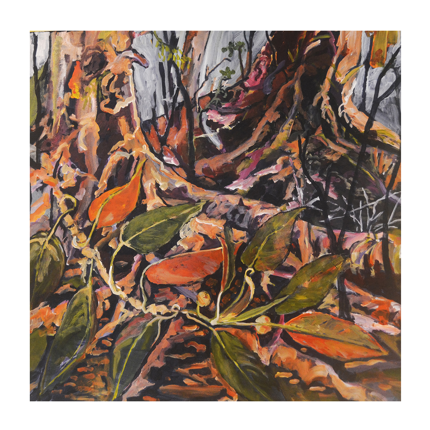 wall-art-print-canvas-poster-framed-Rainforest , By Christine Read-1