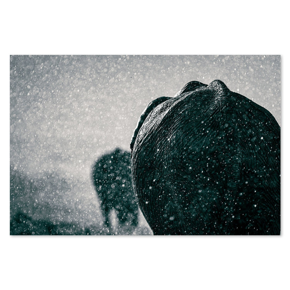 wall-art-print-canvas-poster-framed-Rainy Season, By Mike Taylor-by-Plus X Studio-Gioia Wall Art