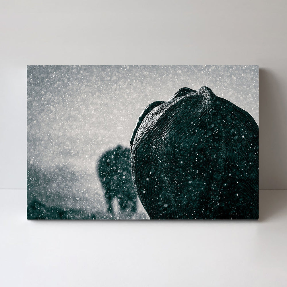 wall-art-print-canvas-poster-framed-Rainy Season, By Mike Taylor-by-Plus X Studio-Gioia Wall Art
