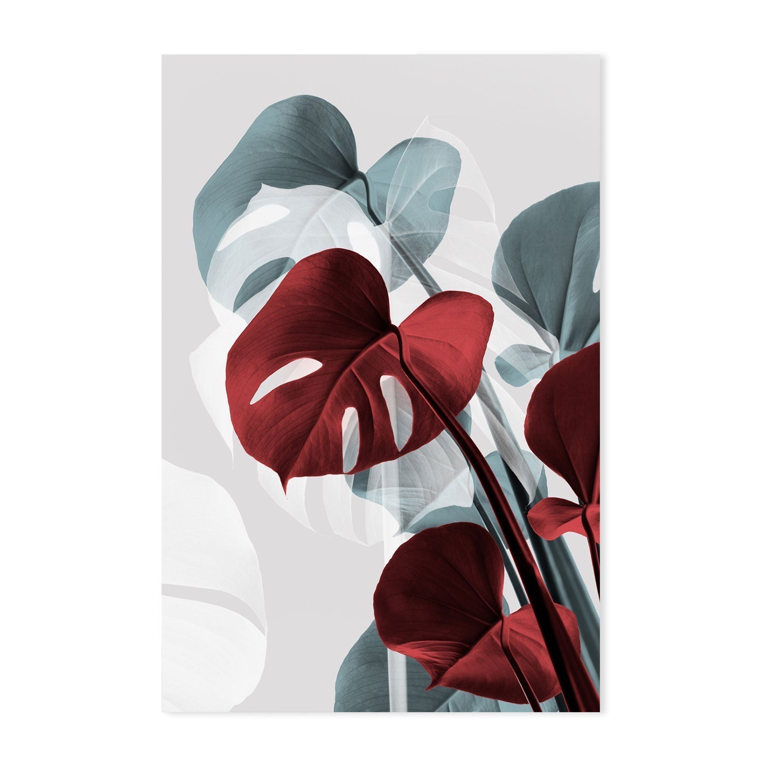 wall-art-print-canvas-poster-framed-Red Monstera Leaf-GIOIA-WALL-ART