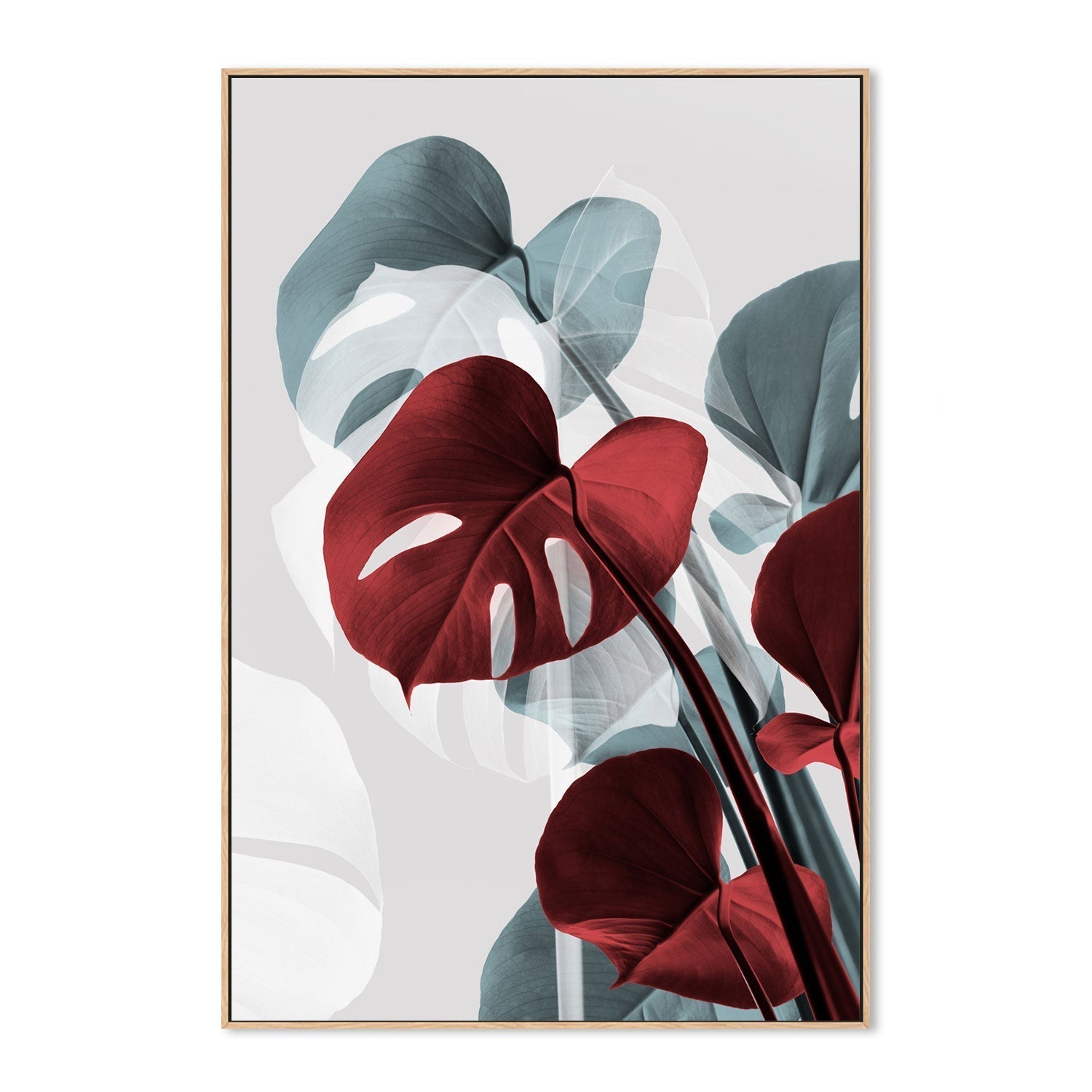 wall-art-print-canvas-poster-framed-Red Monstera Leaf-GIOIA-WALL-ART