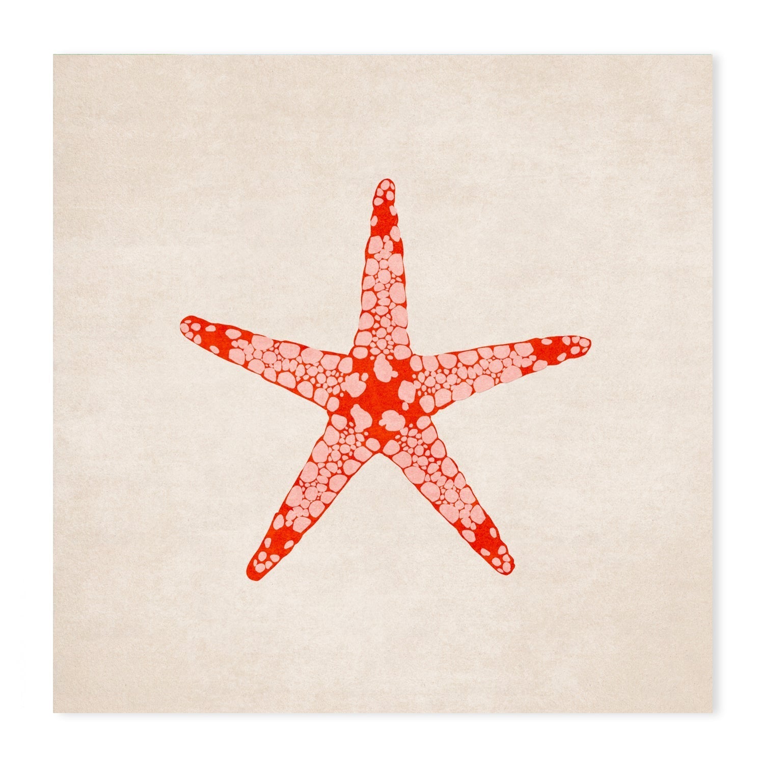 wall-art-print-canvas-poster-framed-Red Starfish And Sea Horse, Set Of 2 , By Emel Tunaboylu-GIOIA-WALL-ART