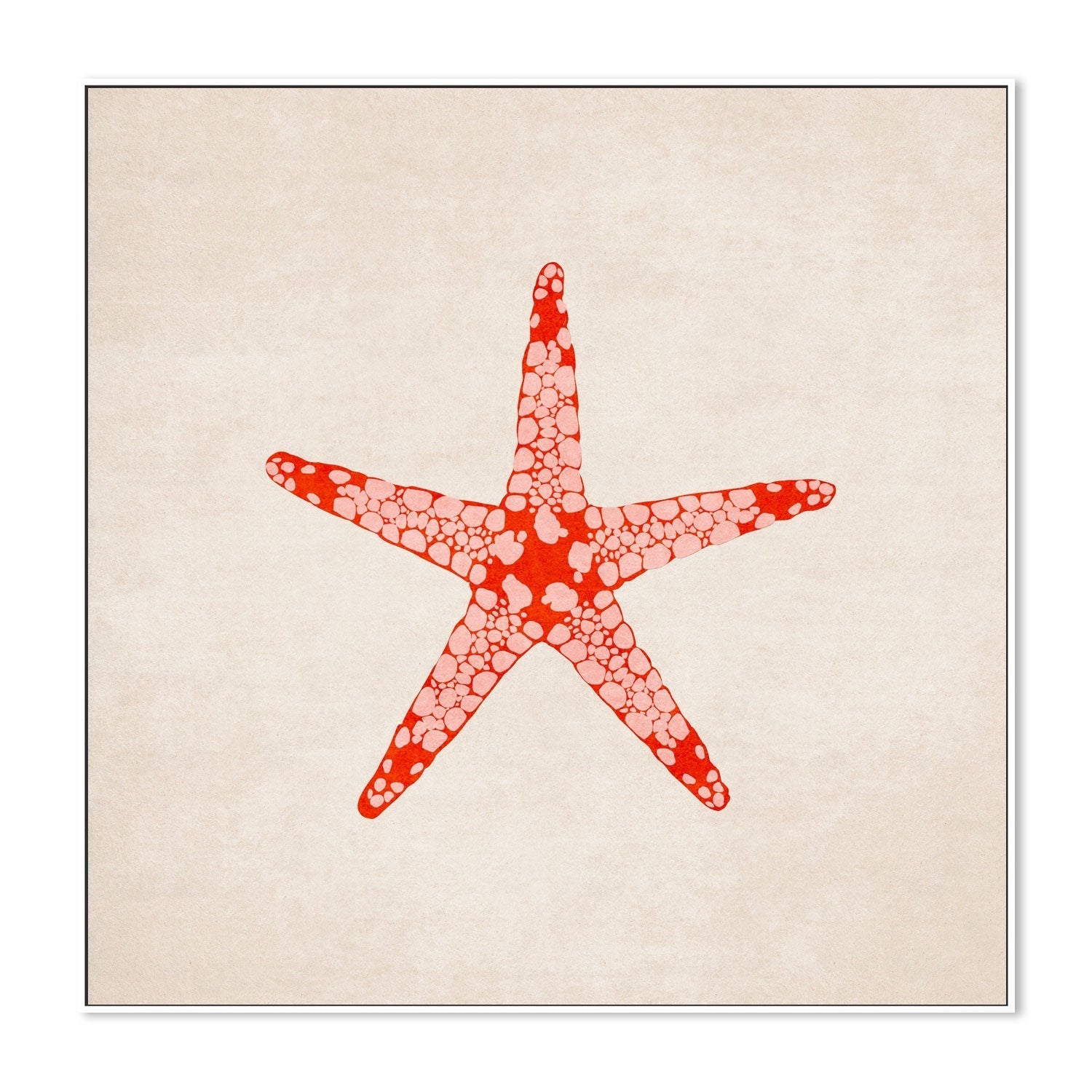 wall-art-print-canvas-poster-framed-Red Starfish , By Emel Tunaboylu-GIOIA-WALL-ART