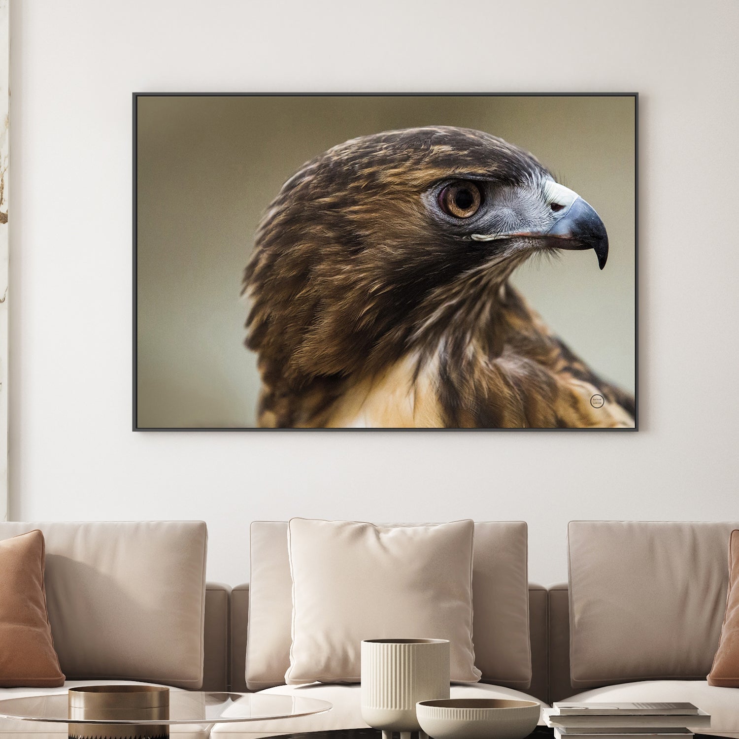 wall-art-print-canvas-poster-framed-Red Tailed Hawk Profile-2