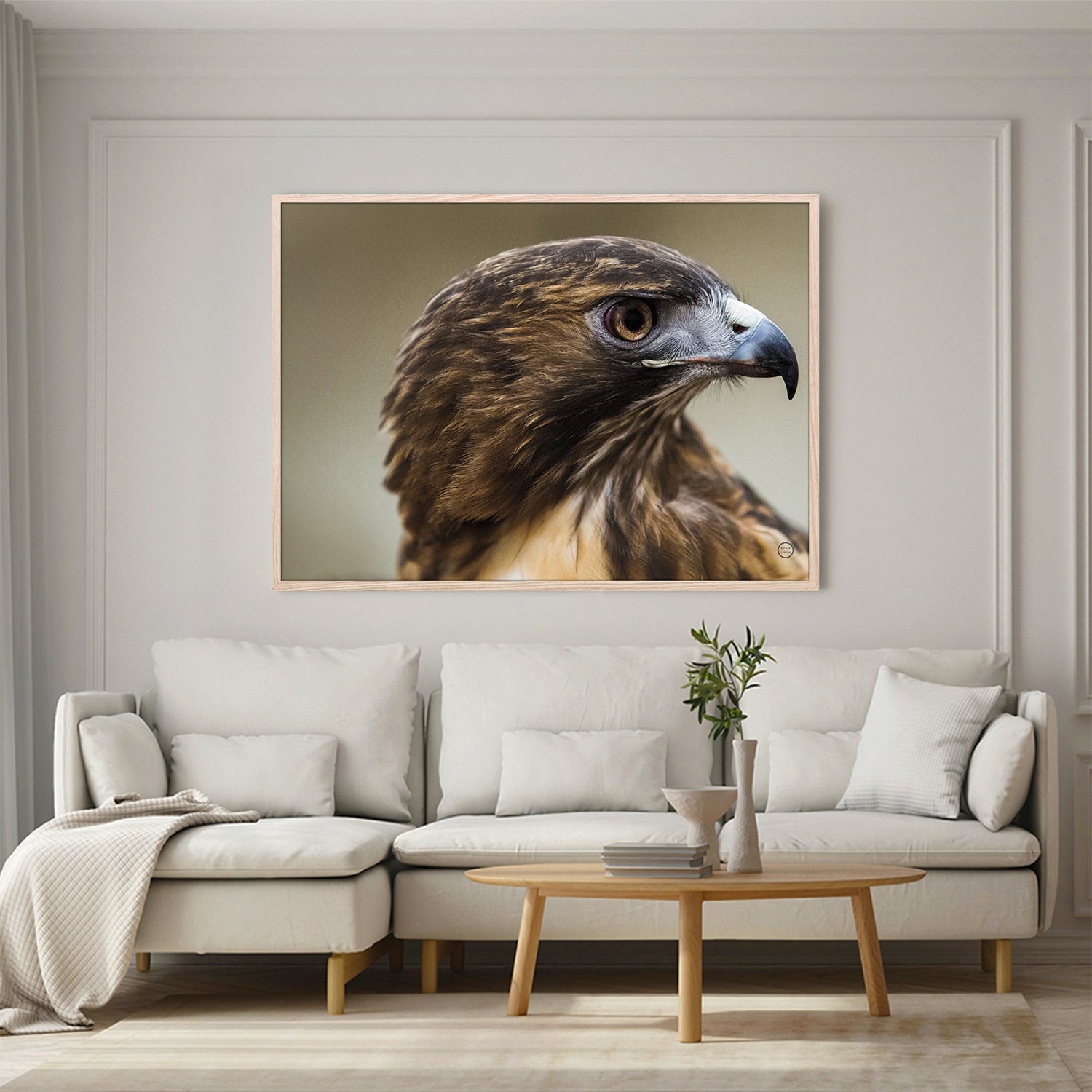 wall-art-print-canvas-poster-framed-Red Tailed Hawk Profile-8