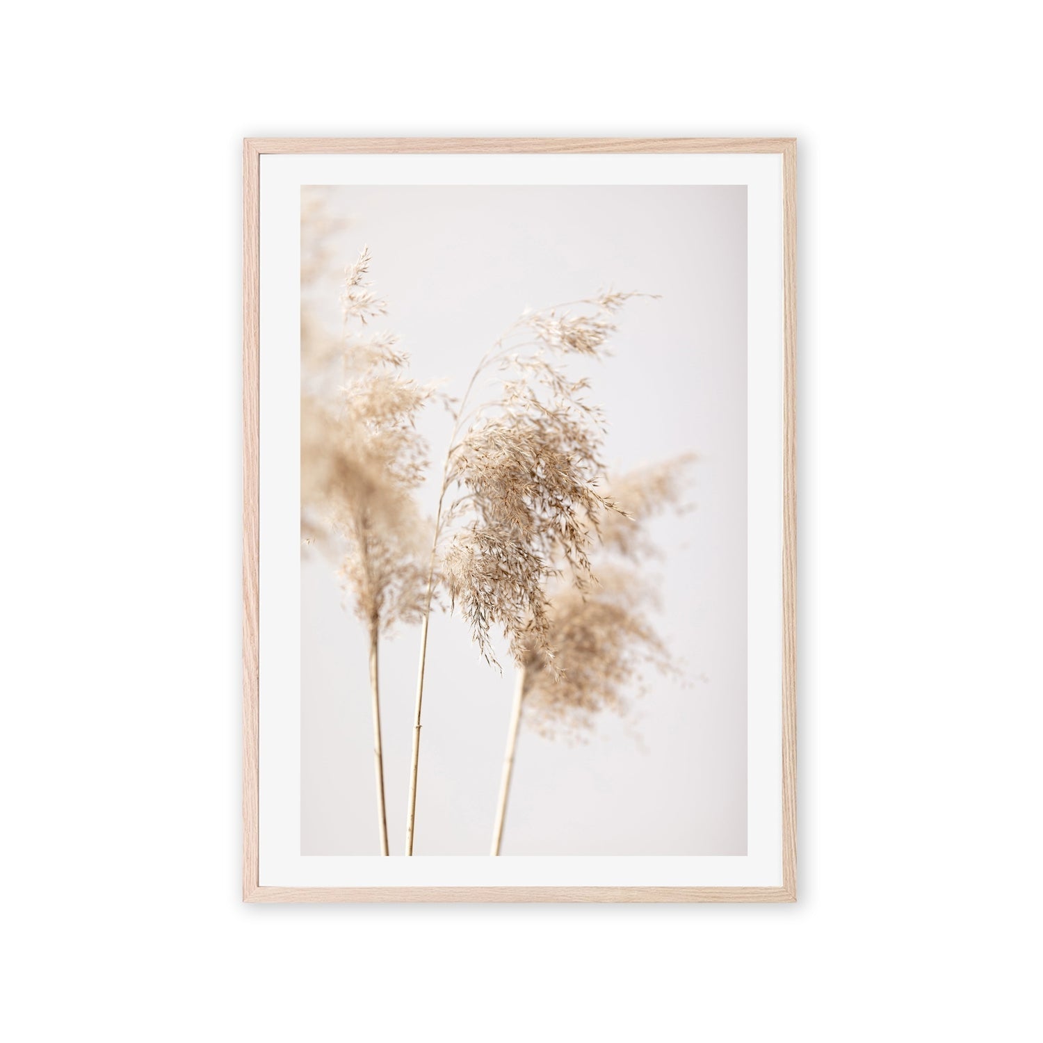 wall-art-print-canvas-poster-framed-Reed Grass Grey-by-Plus X Studio-Gioia Wall Art
