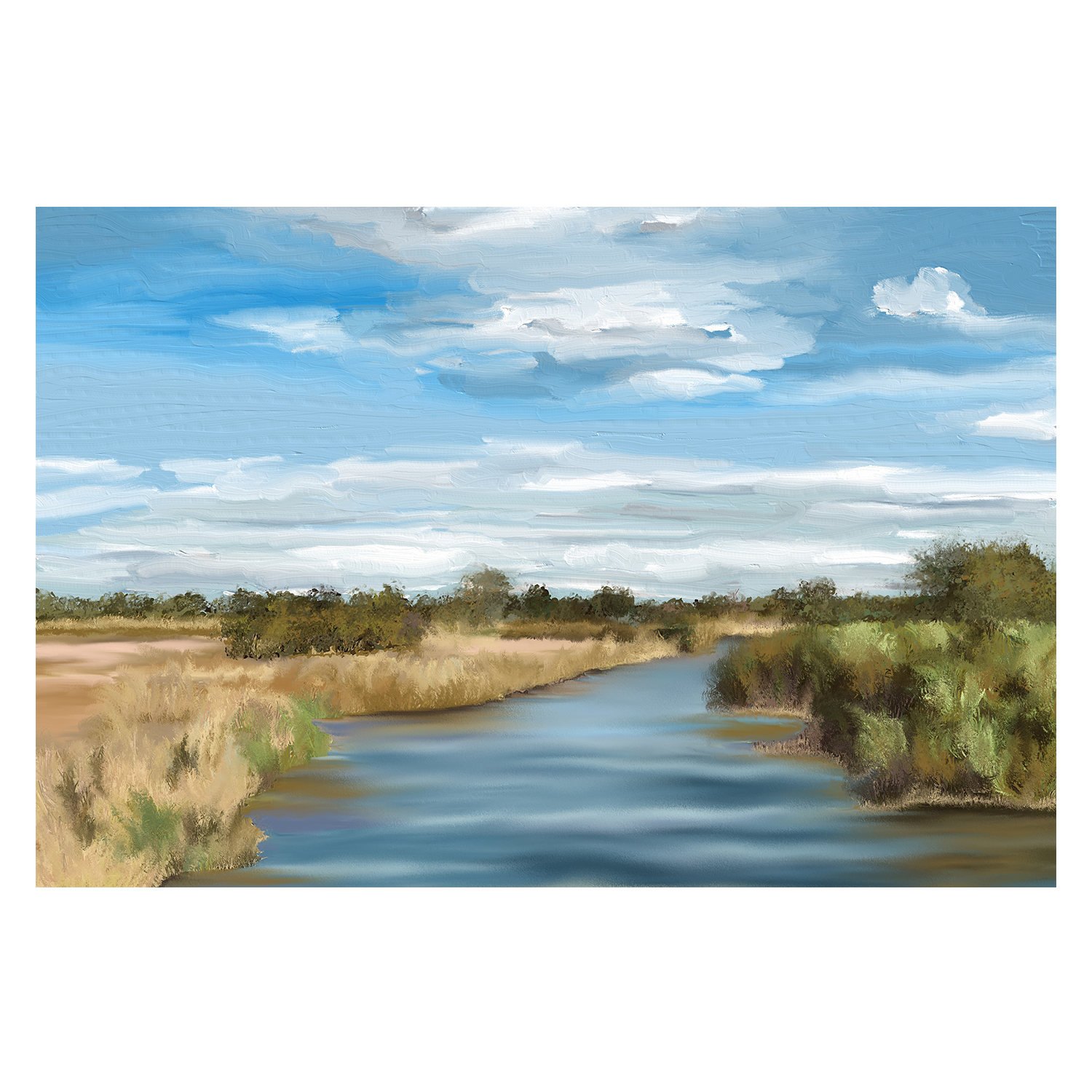 wall-art-print-canvas-poster-framed-River of Reeds, Botswana , By Jenna Alheit-1