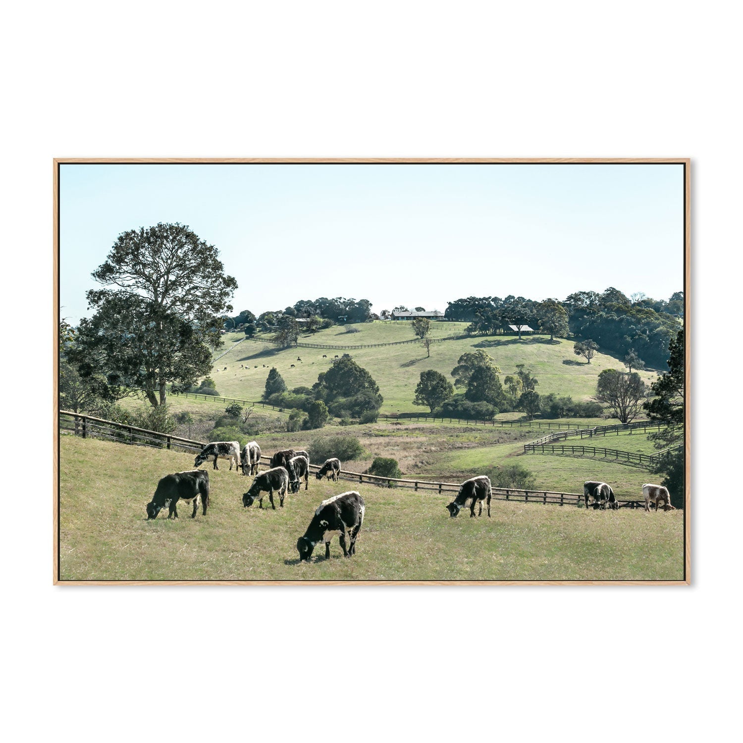 wall-art-print-canvas-poster-framed-Rolling Paddocks, Style A , By Tricia Brennan-GIOIA-WALL-ART