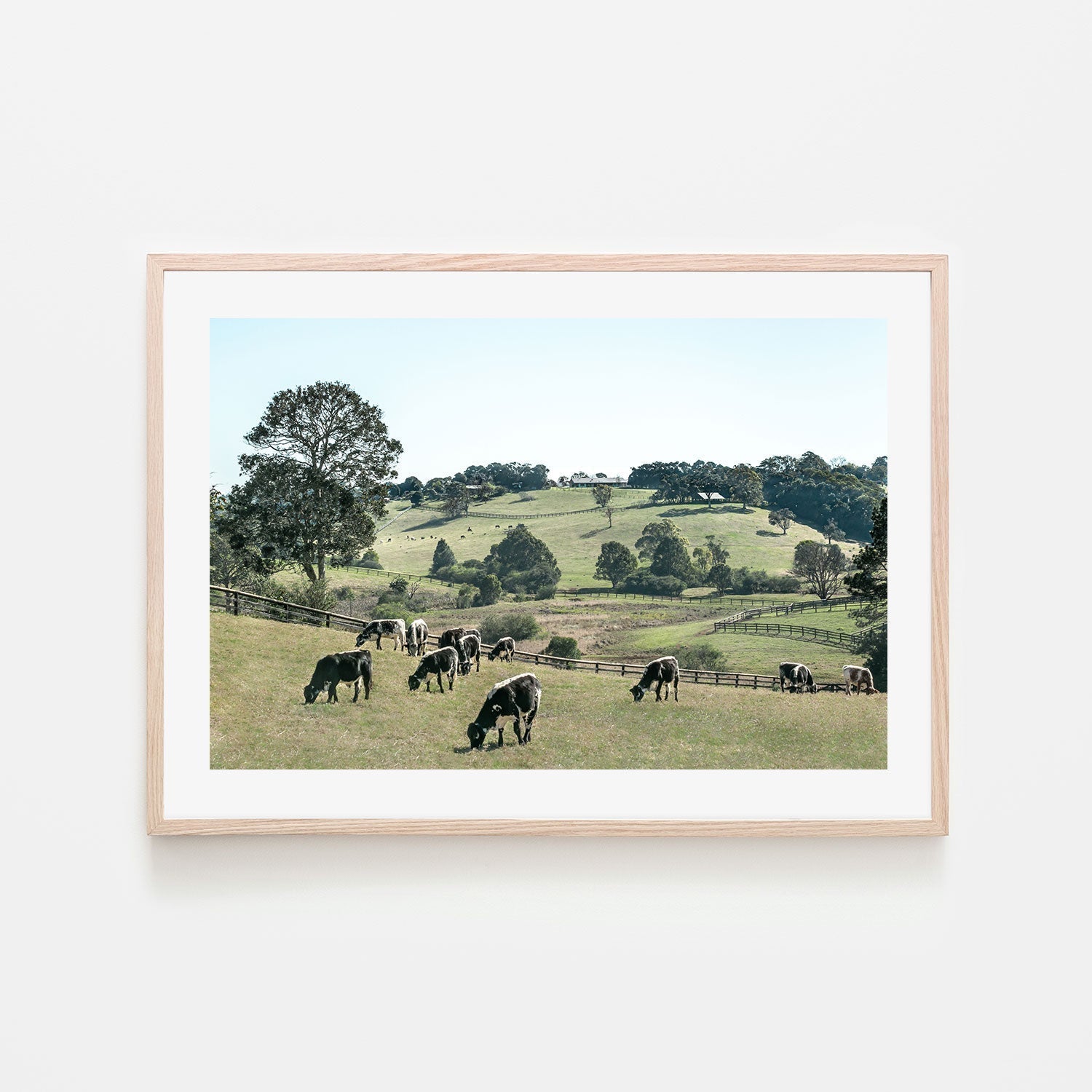 wall-art-print-canvas-poster-framed-Rolling Paddocks, Style A , By Tricia Brennan-GIOIA-WALL-ART