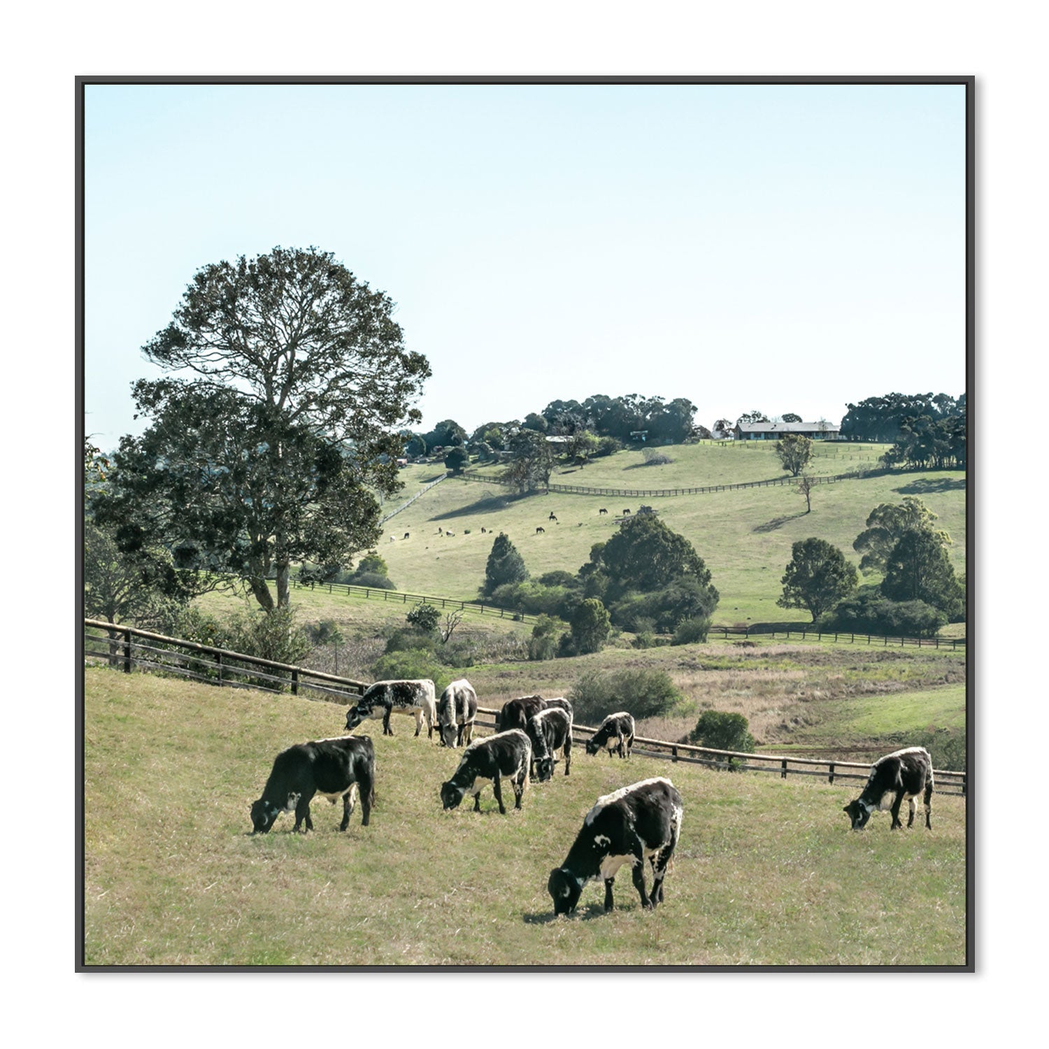 wall-art-print-canvas-poster-framed-Rolling Paddocks, Style B , By Tricia Brennan-GIOIA-WALL-ART