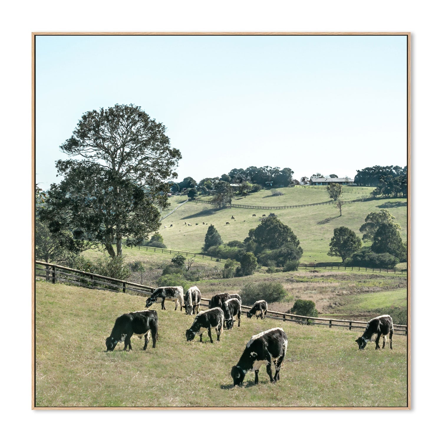 wall-art-print-canvas-poster-framed-Rolling Paddocks, Style B , By Tricia Brennan-GIOIA-WALL-ART