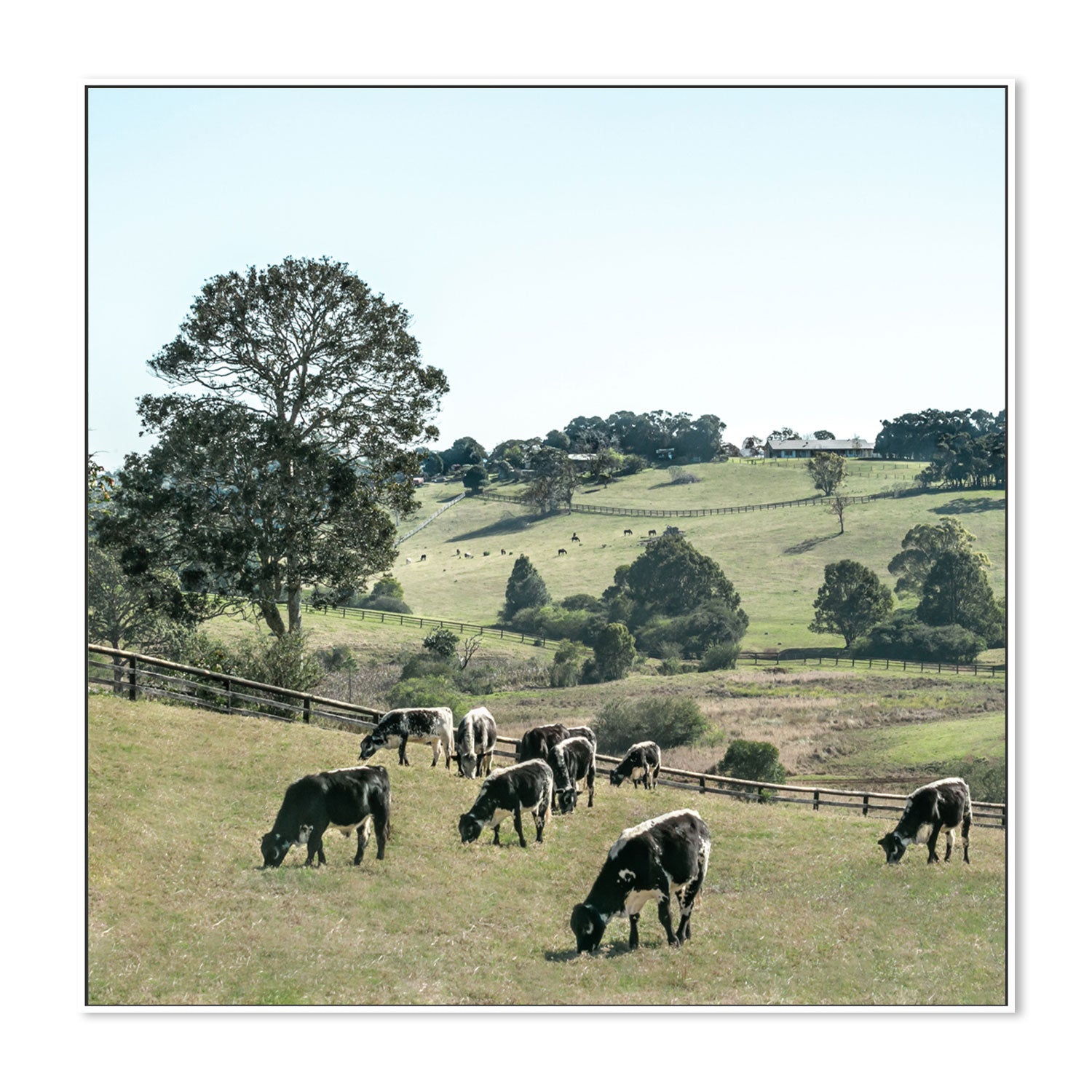 wall-art-print-canvas-poster-framed-Rolling Paddocks, Style B , By Tricia Brennan-GIOIA-WALL-ART