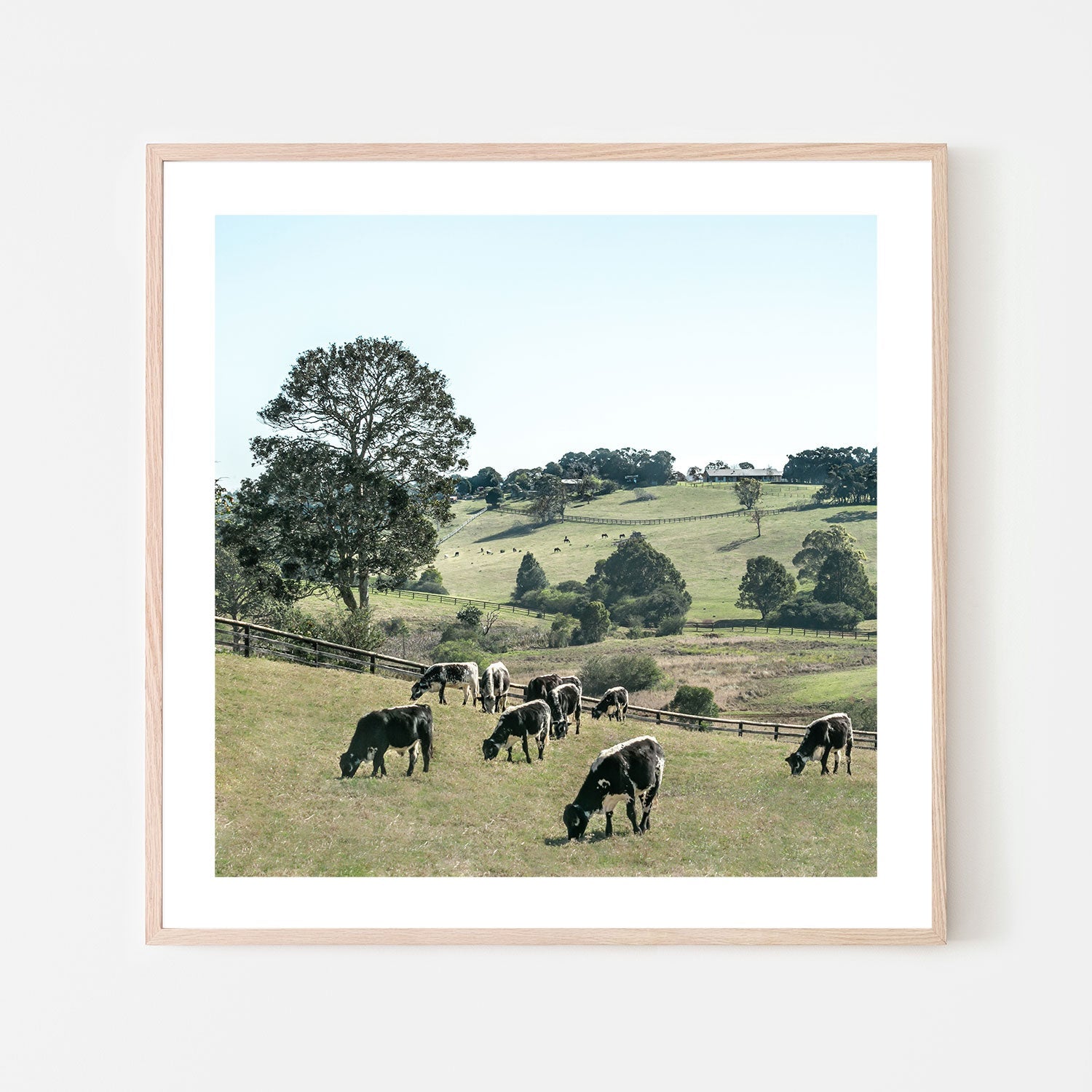 wall-art-print-canvas-poster-framed-Rolling Paddocks, Style B , By Tricia Brennan-GIOIA-WALL-ART