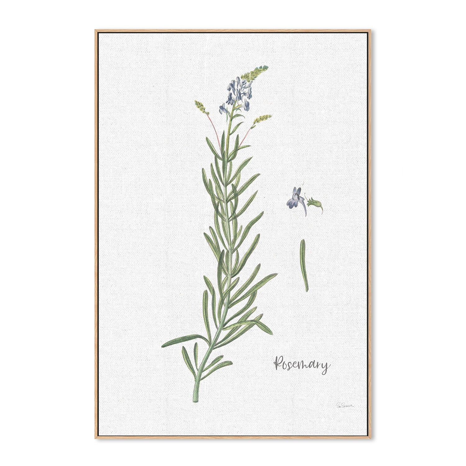 wall-art-print-canvas-poster-framed-Rosemary Cottage Herbs, Style A , By Sue Schlabach-4