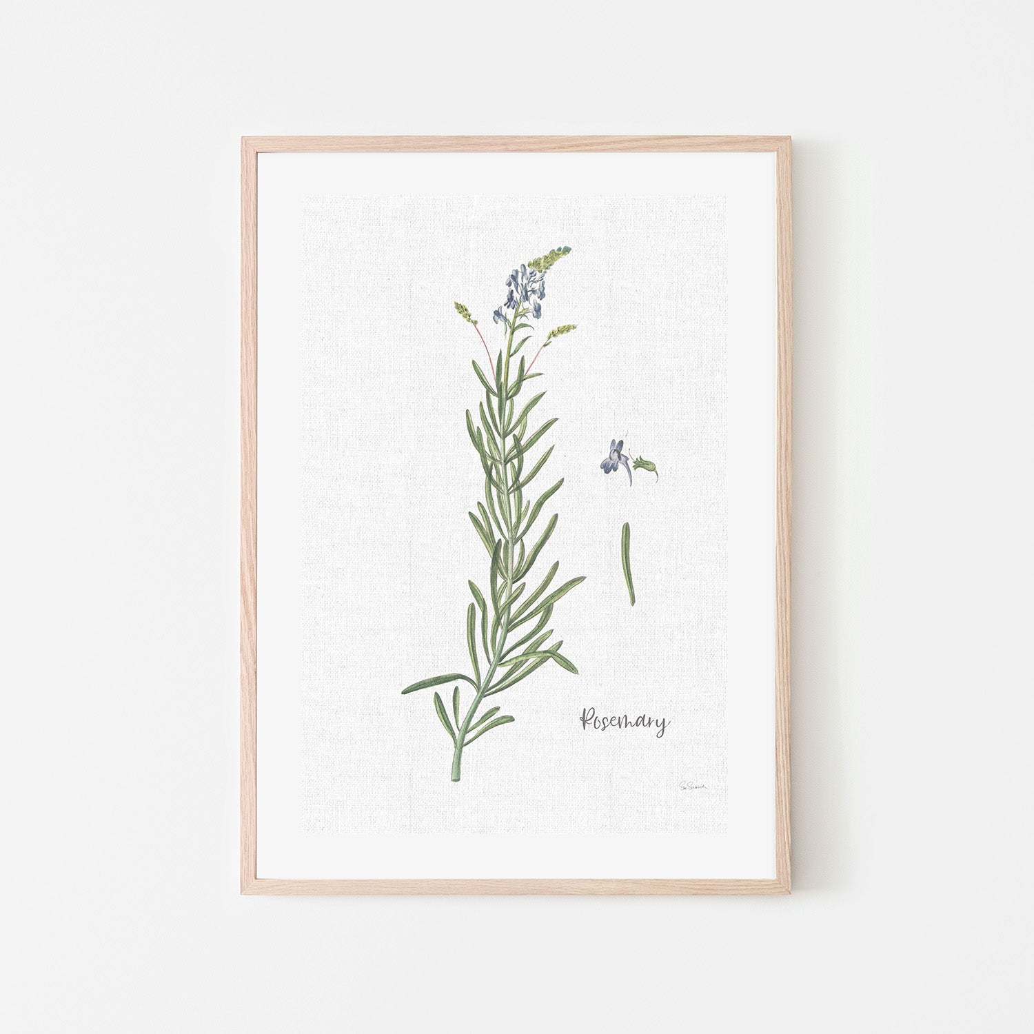 wall-art-print-canvas-poster-framed-Rosemary Cottage Herbs, Style A , By Sue Schlabach-6