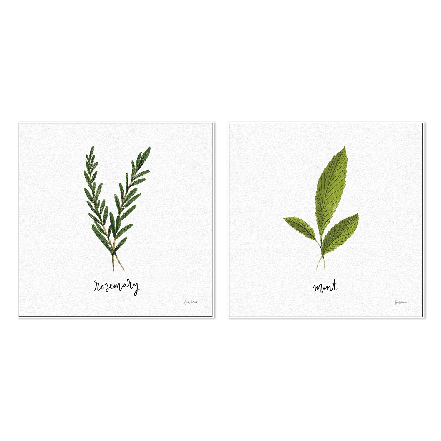 wall-art-print-canvas-poster-framed-Rosemary Herbs White Style B & Mint Herbs White Style F, Set Of 2 , By Becky Thorns-5