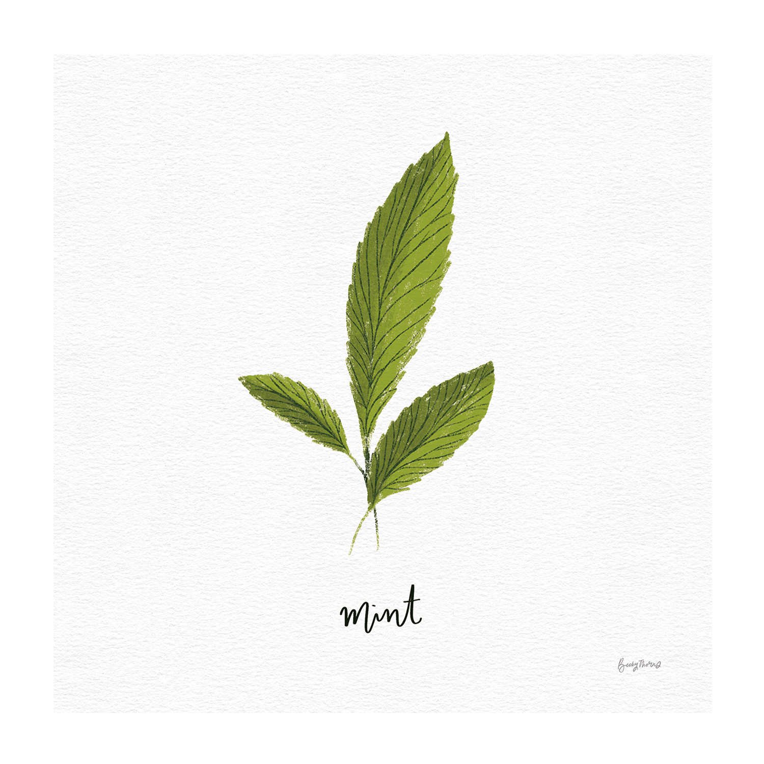 wall-art-print-canvas-poster-framed-Rosemary Herbs White Style B & Mint Herbs White Style F, Set Of 2 , By Becky Thorns-9