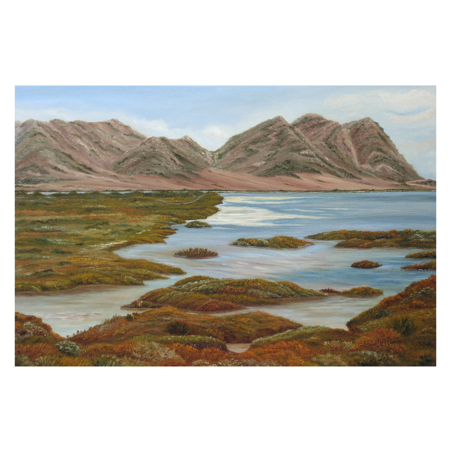 wall-art-print-canvas-poster-framed-Salt Marsh , By Angeles M. Pomata-1