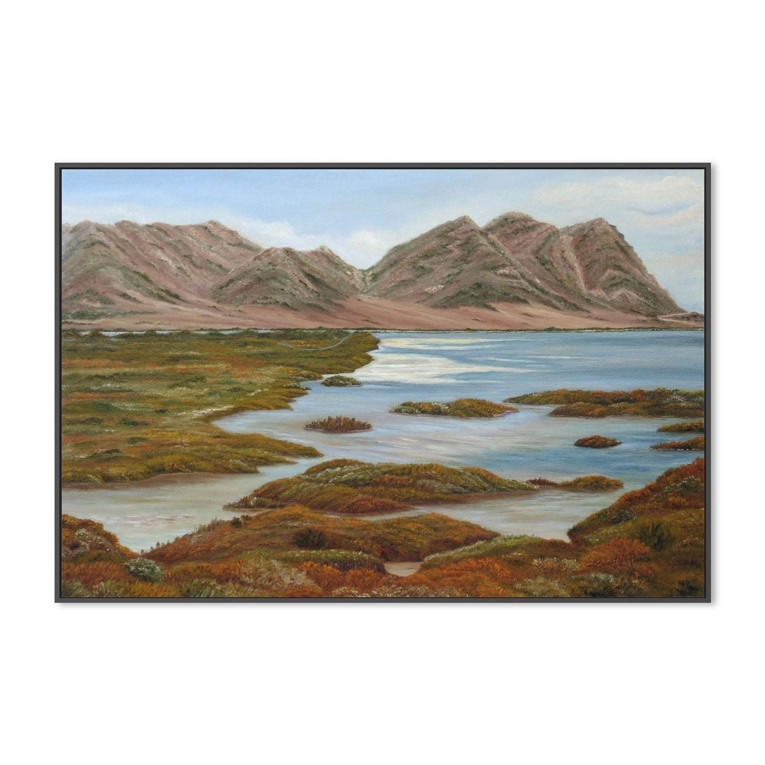 wall-art-print-canvas-poster-framed-Salt Marsh , By Angeles M. Pomata-3