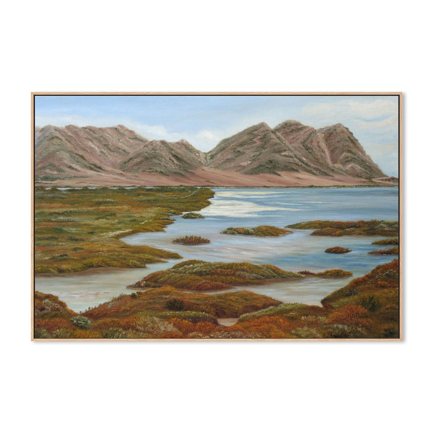 wall-art-print-canvas-poster-framed-Salt Marsh , By Angeles M. Pomata-4