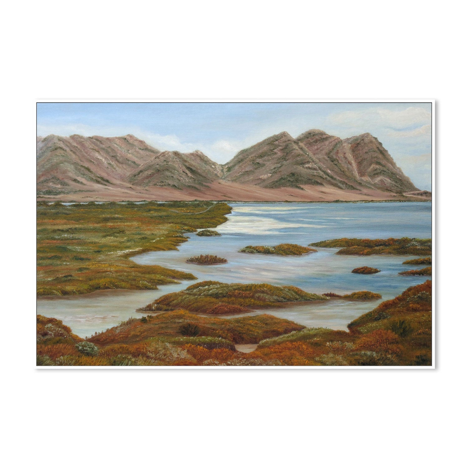 wall-art-print-canvas-poster-framed-Salt Marsh , By Angeles M. Pomata-5